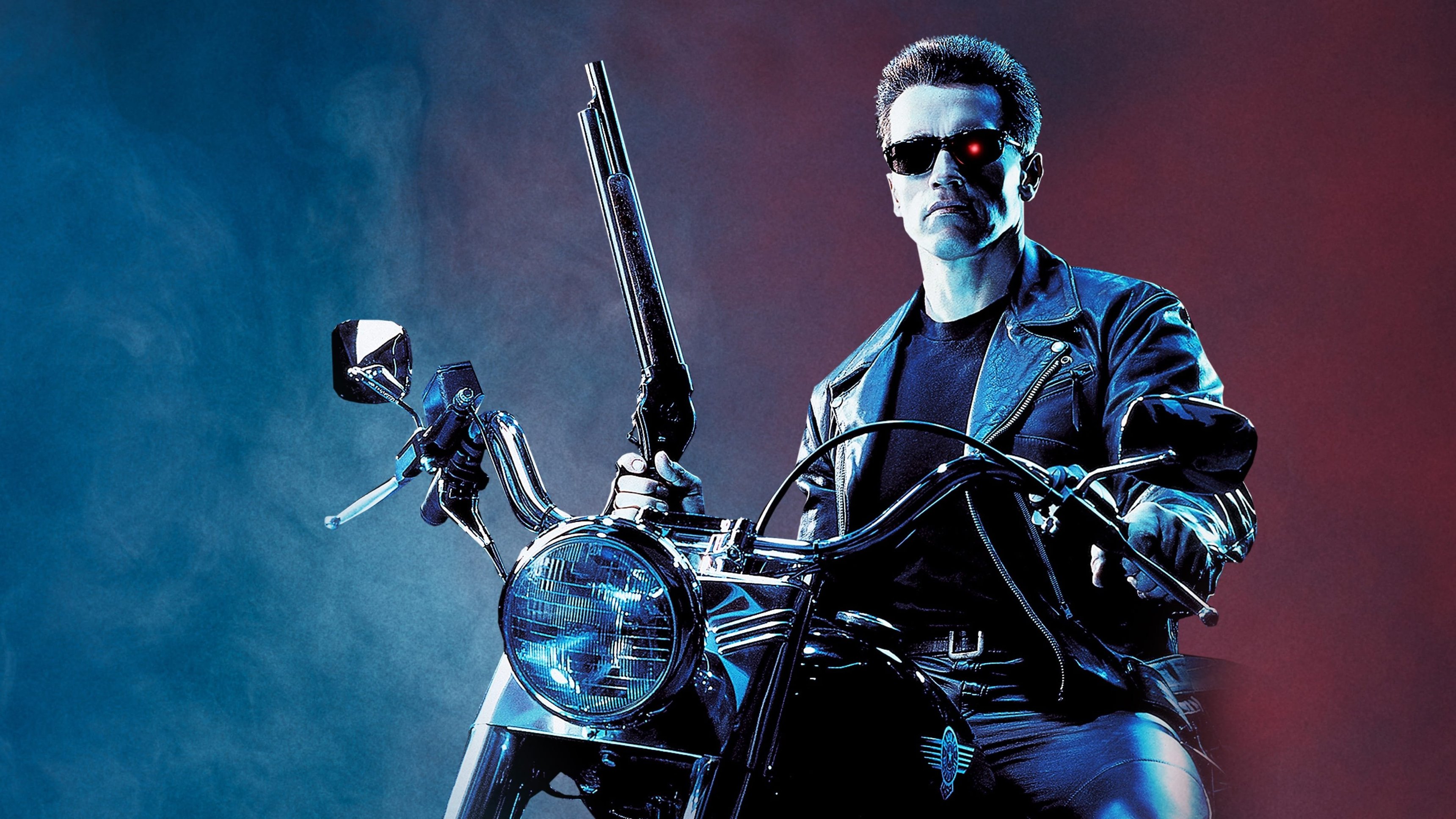 Terminator 2 - Domedagen
