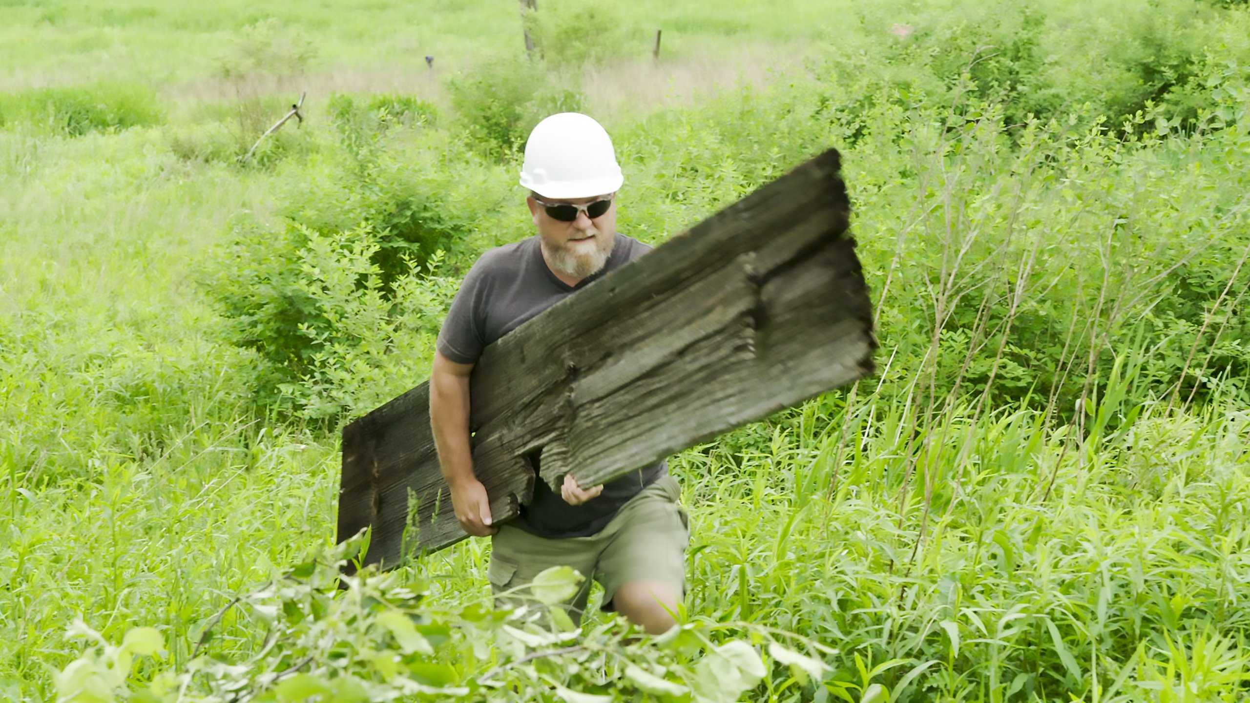 3. Barnwood Bonanza
