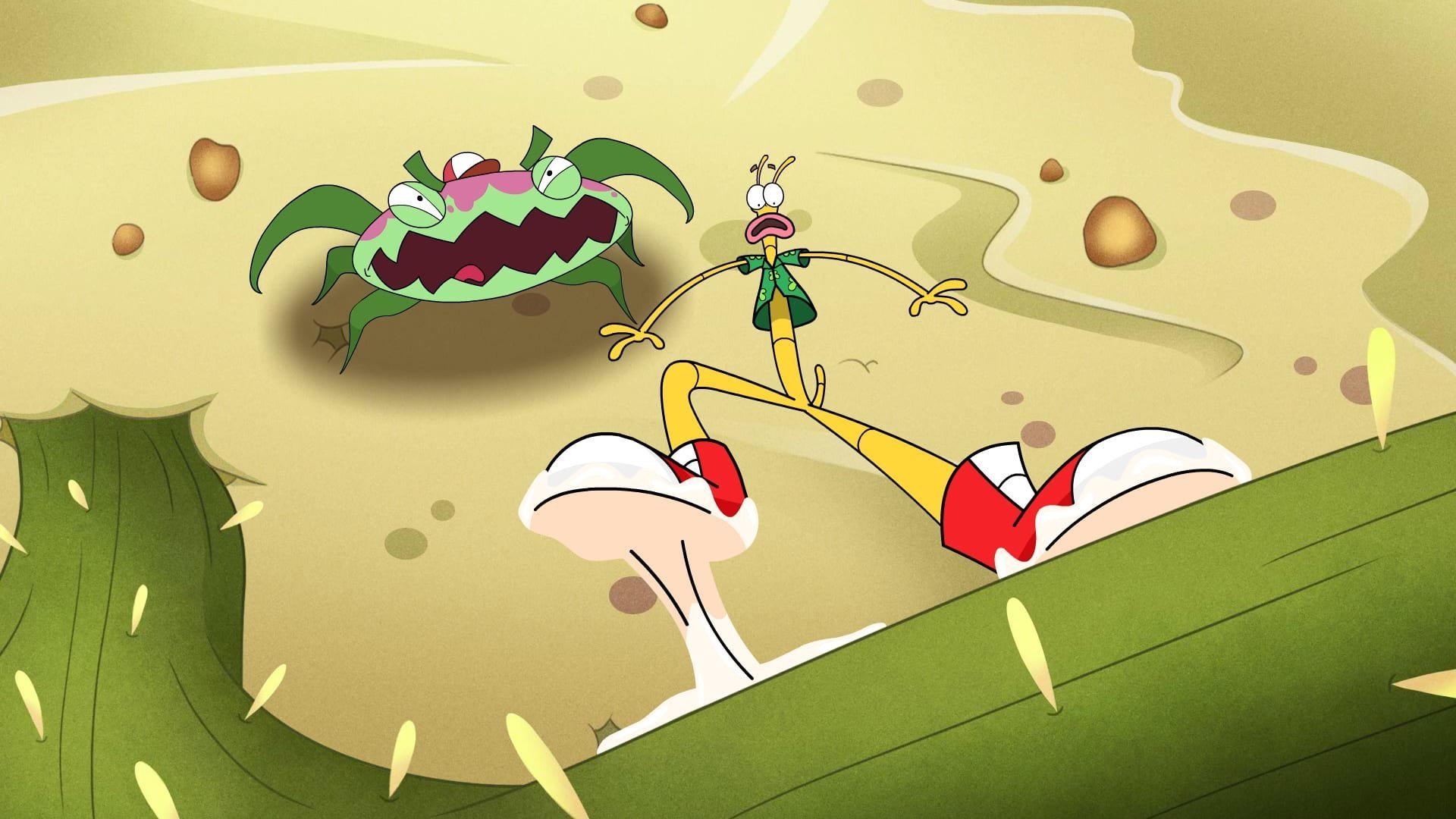 37. Buddys kladdiga skor