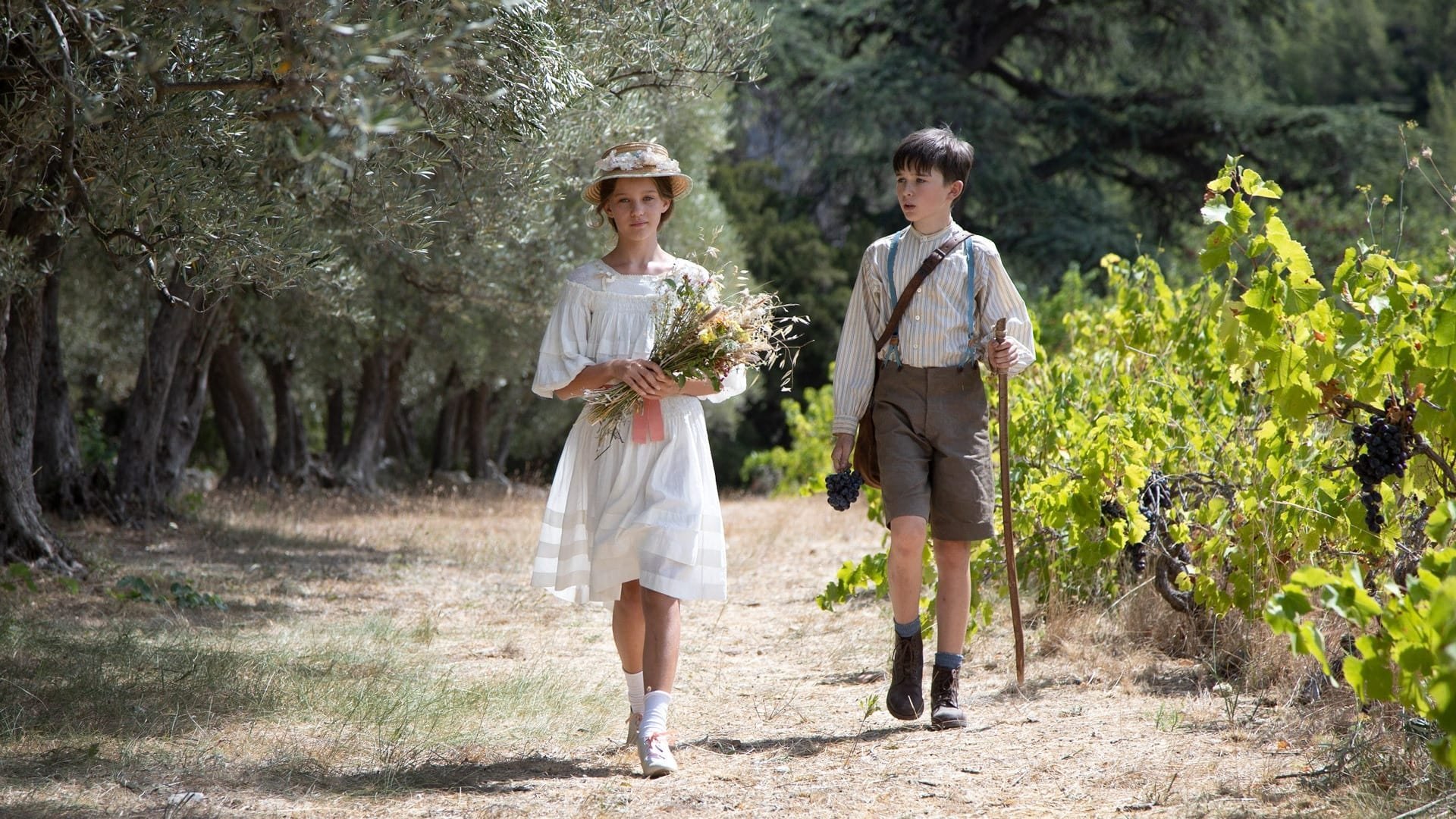 Min sommar i Provence