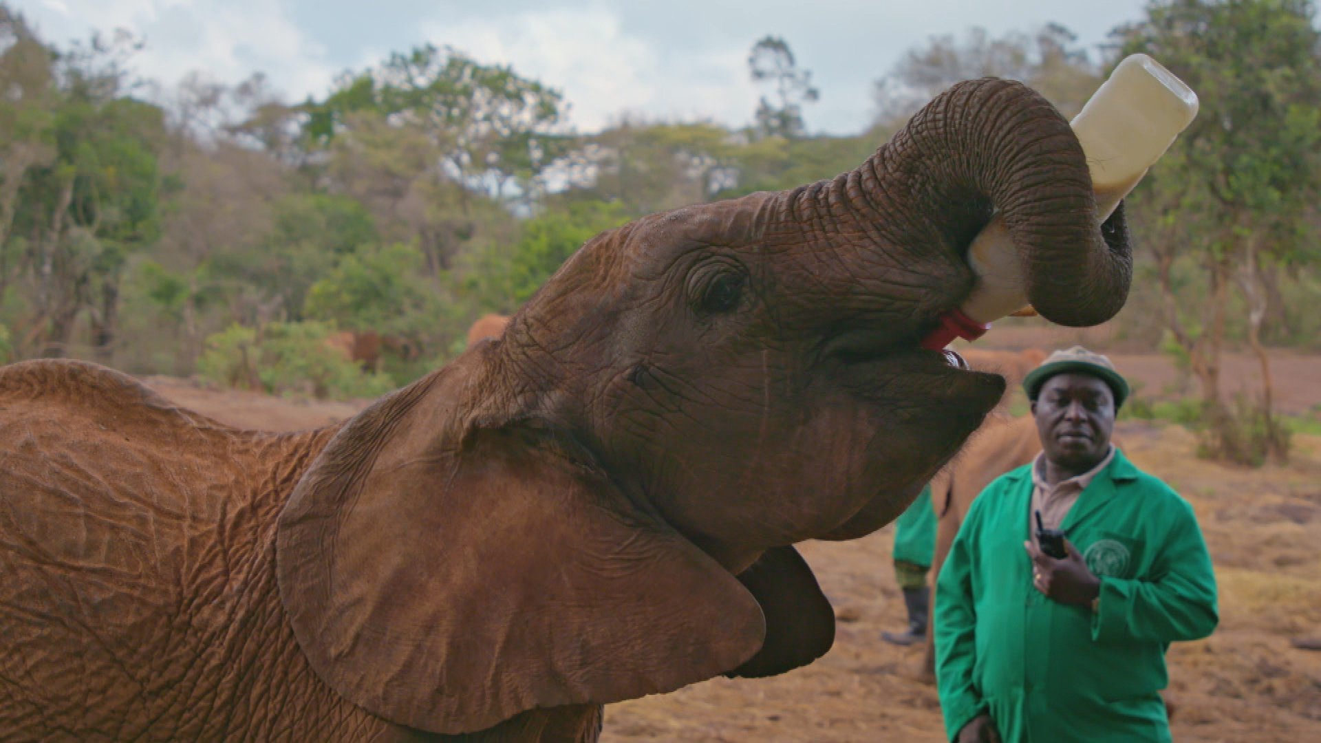 2. Baby Elephant Rescue