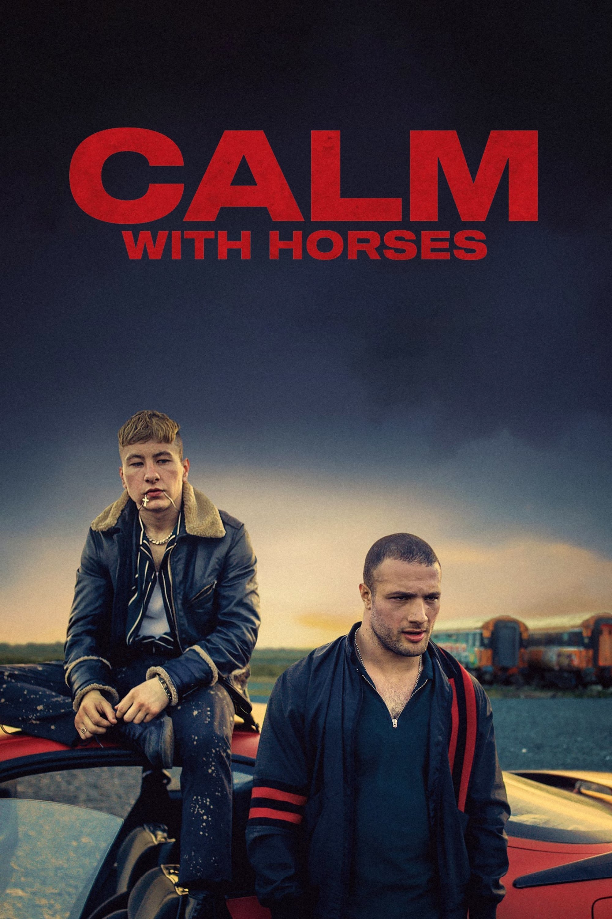Calm with horses