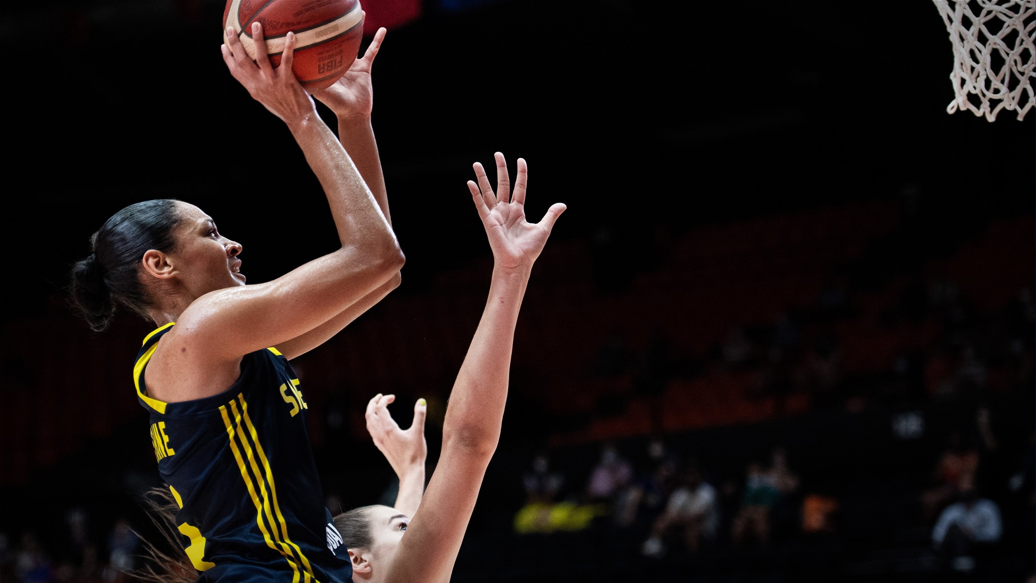 Basket-EM