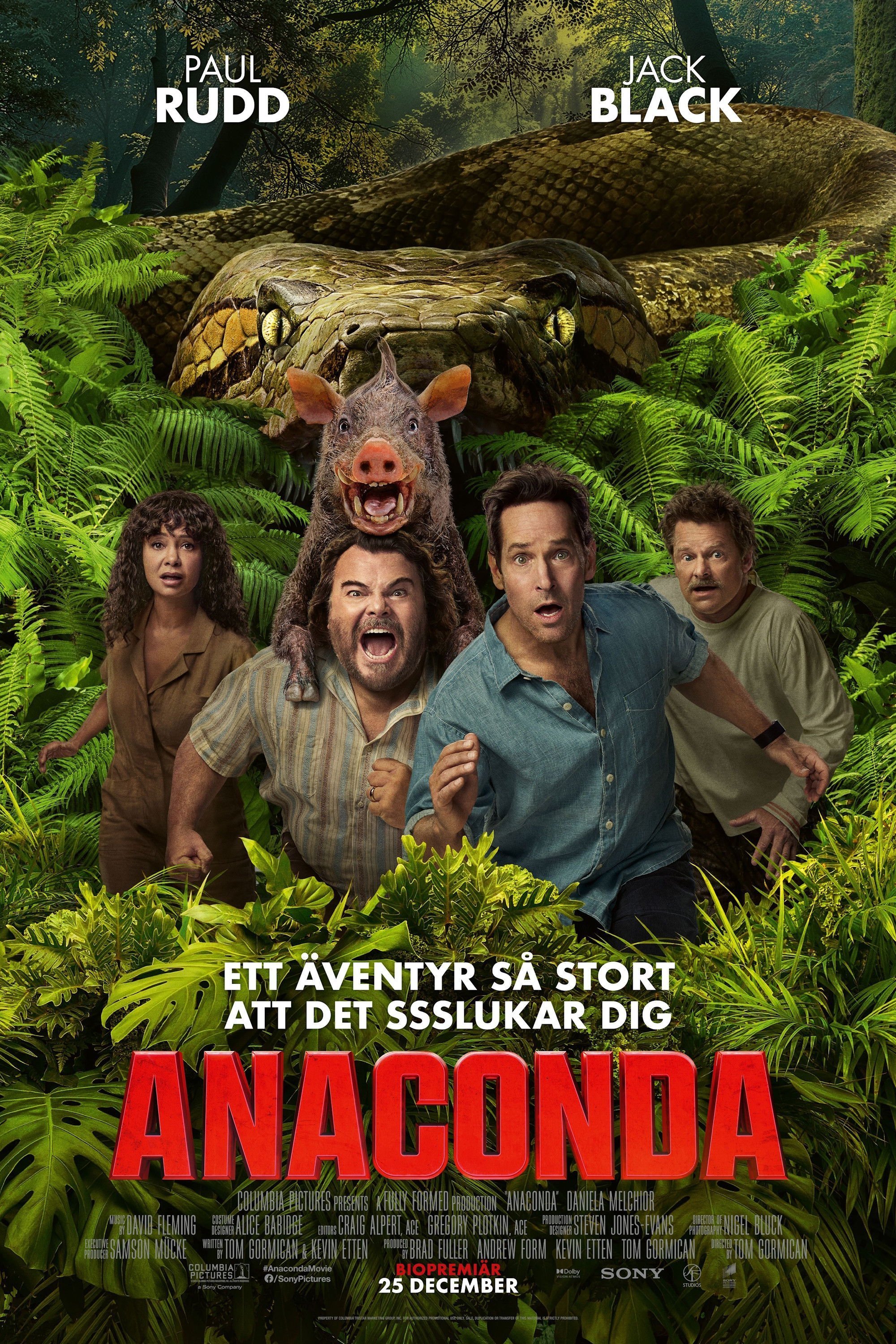 Anaconda