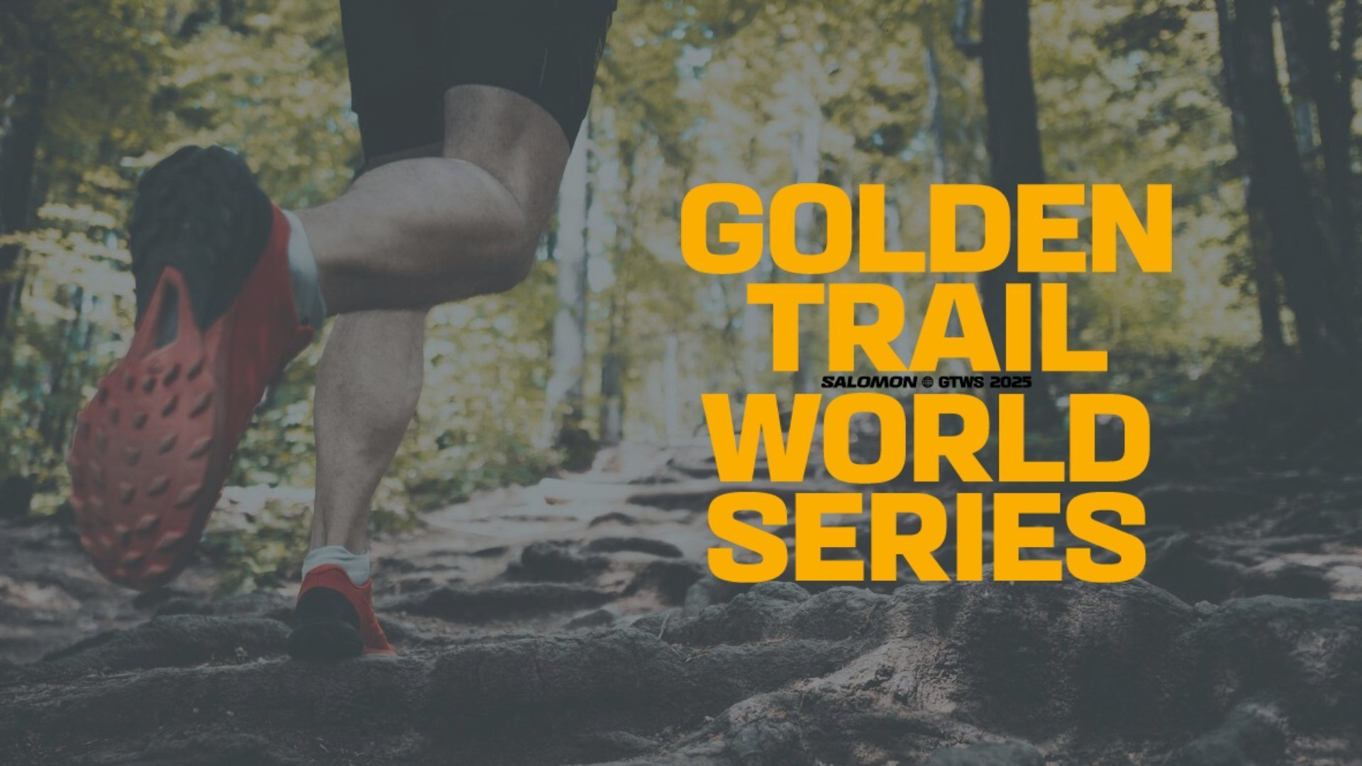 GT World Series | Pitztal