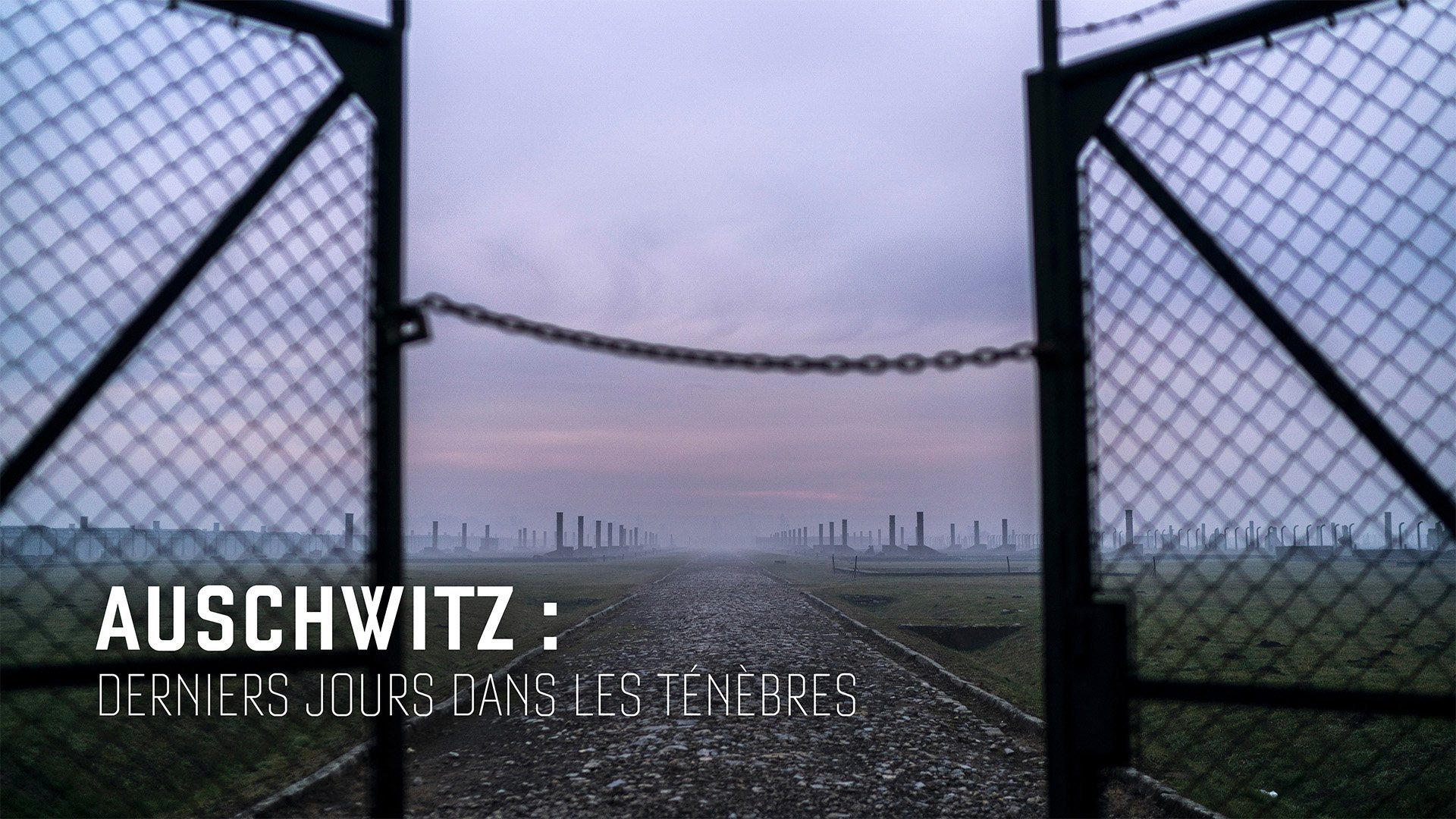 Auschwitz - Countdown To Liberation