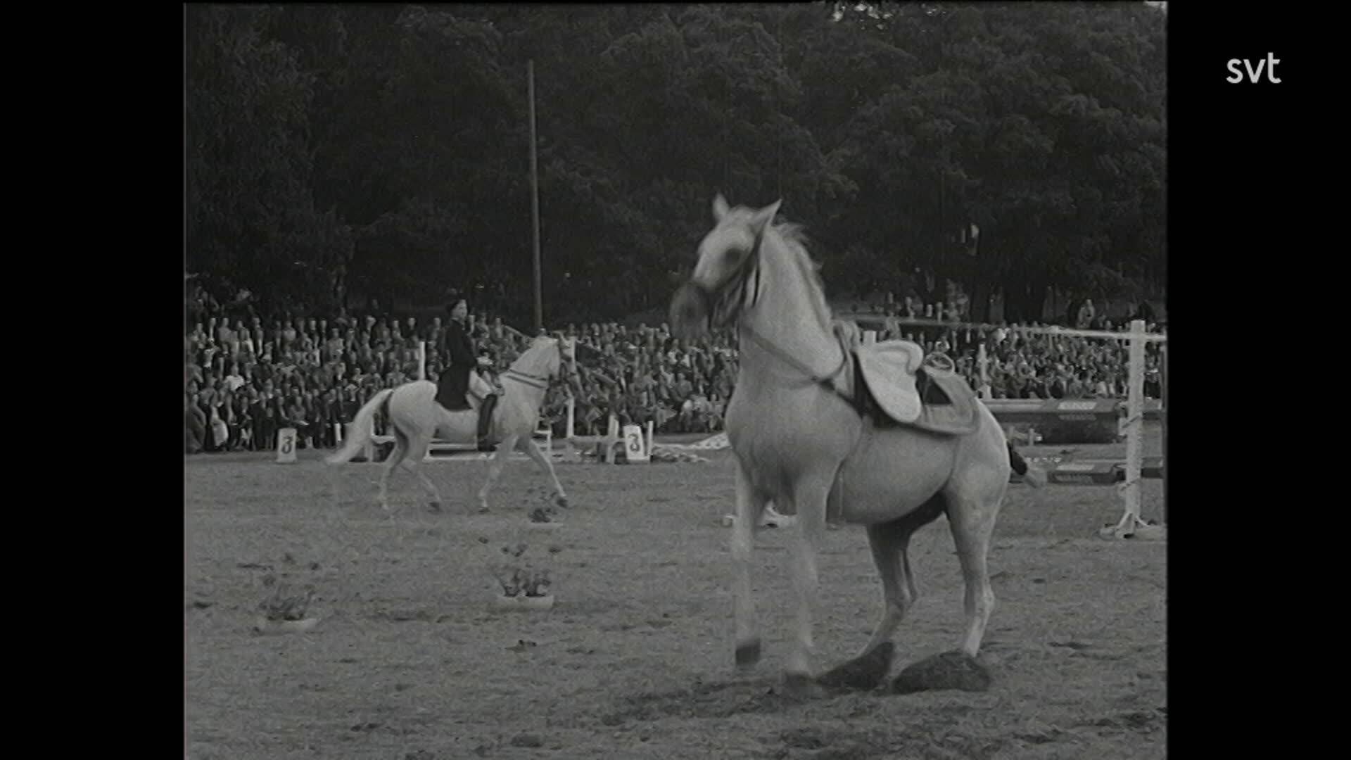 40. Internationella ryttarspelen 1952