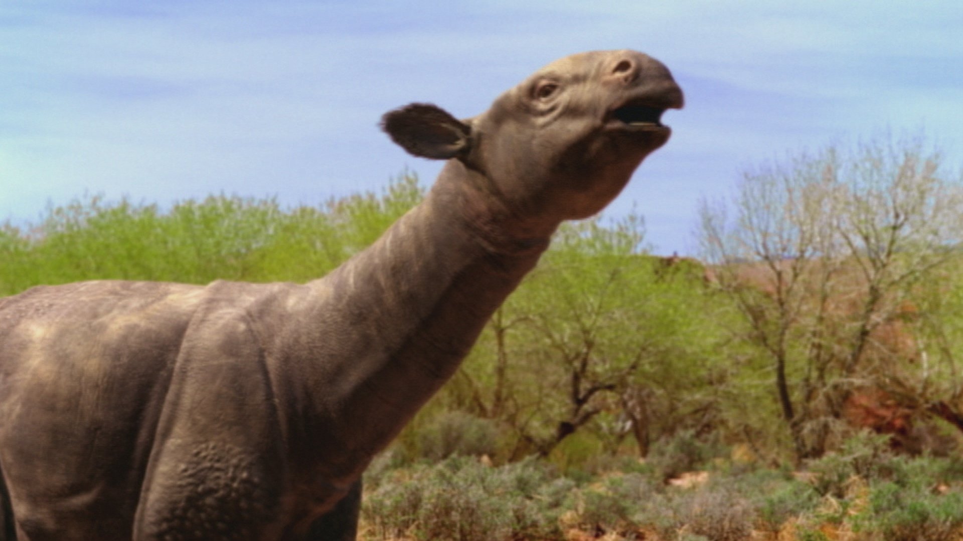 22. Paraceratherium och hud
