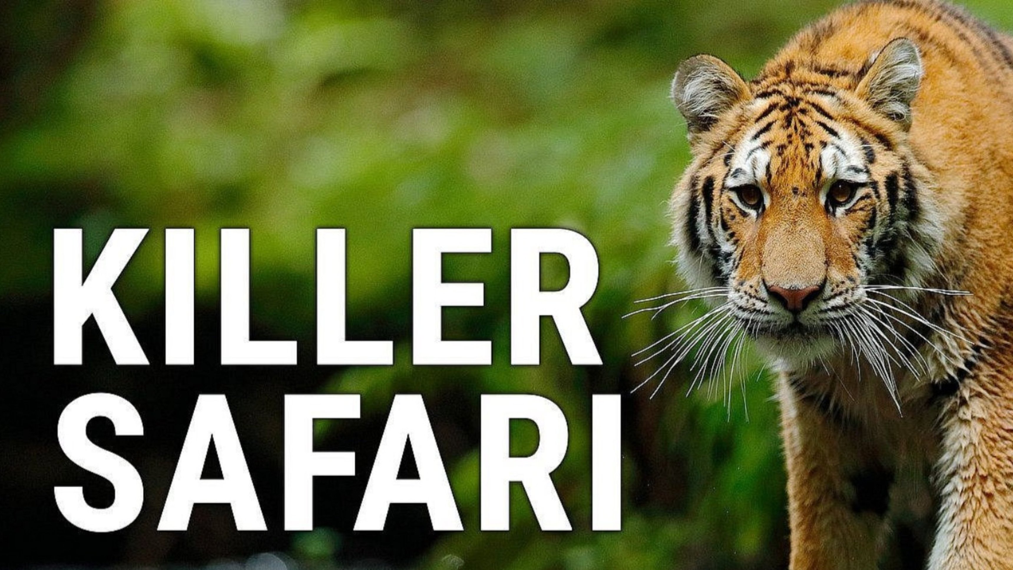Dödlig safari