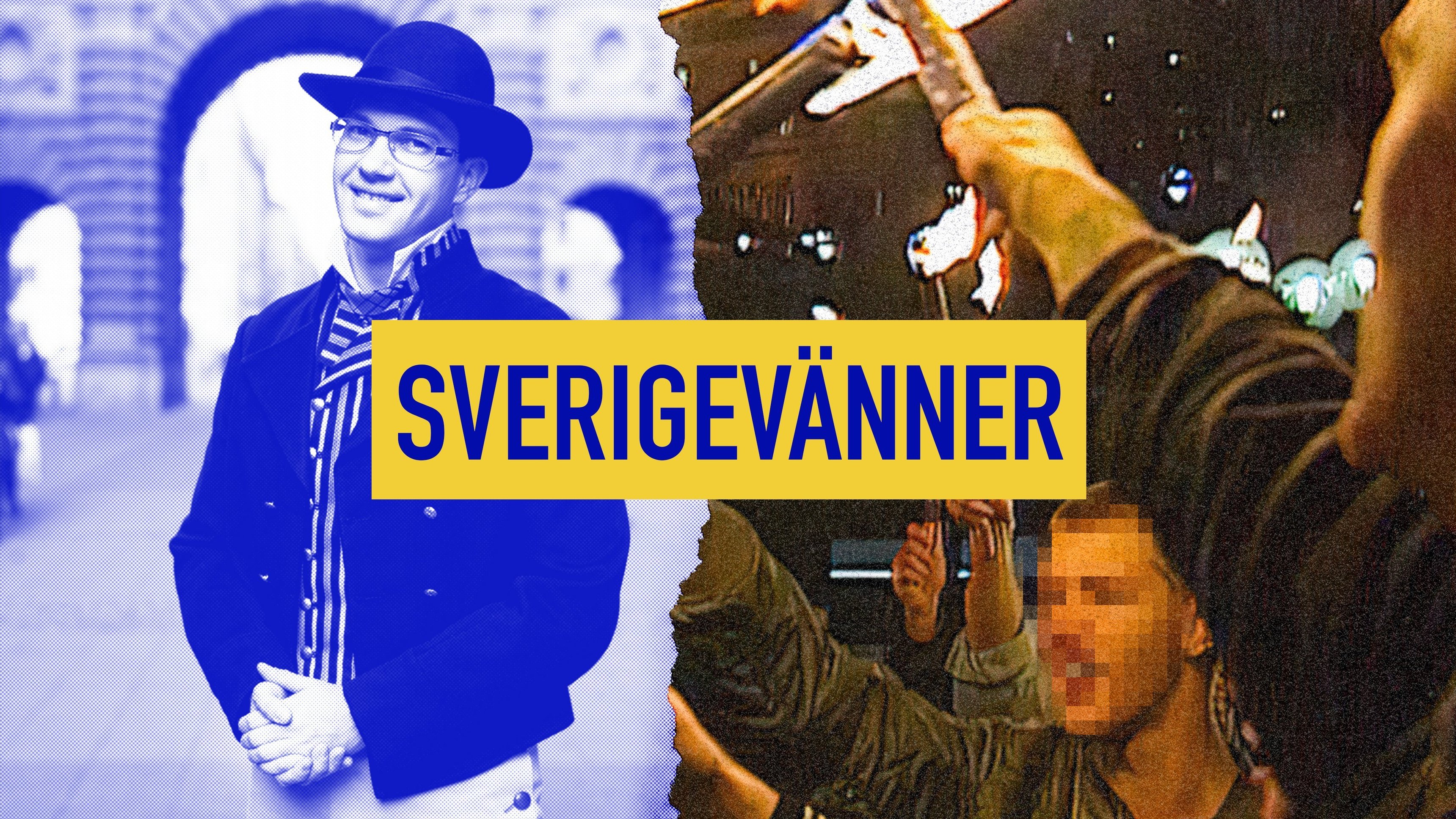 Sverigevänner - ett partis historia