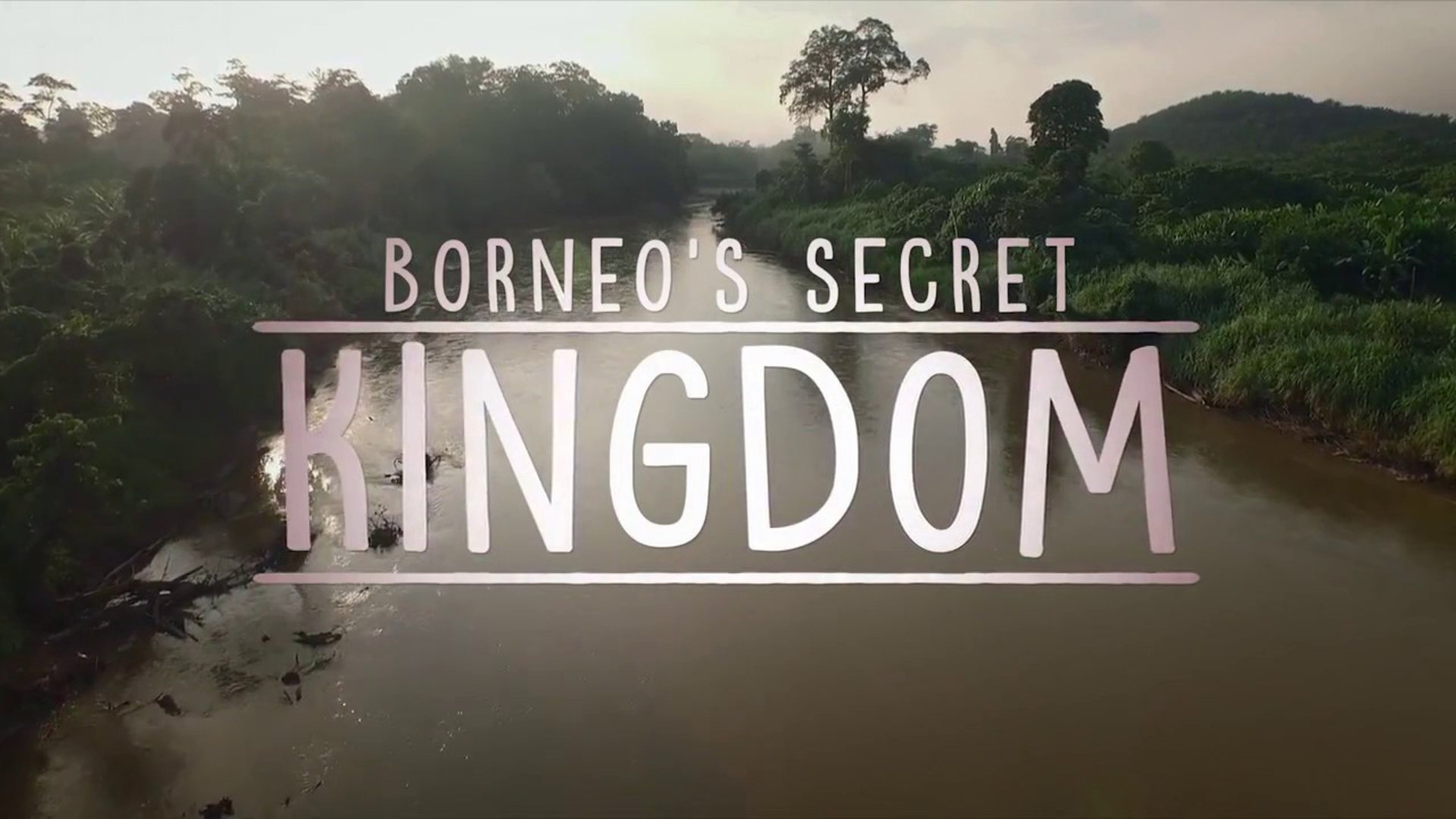 Borneos hemliga rike: Märkligt och vilt