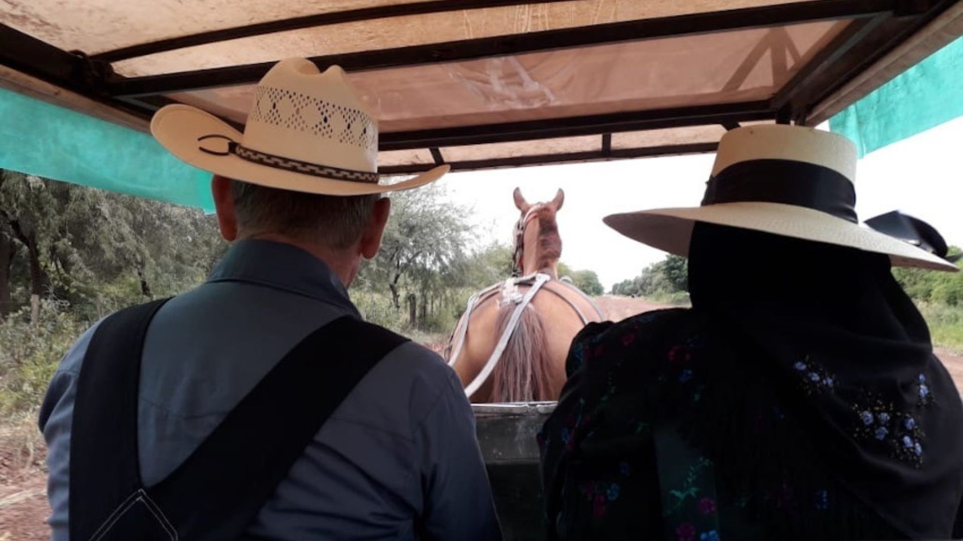 Mennoniterna