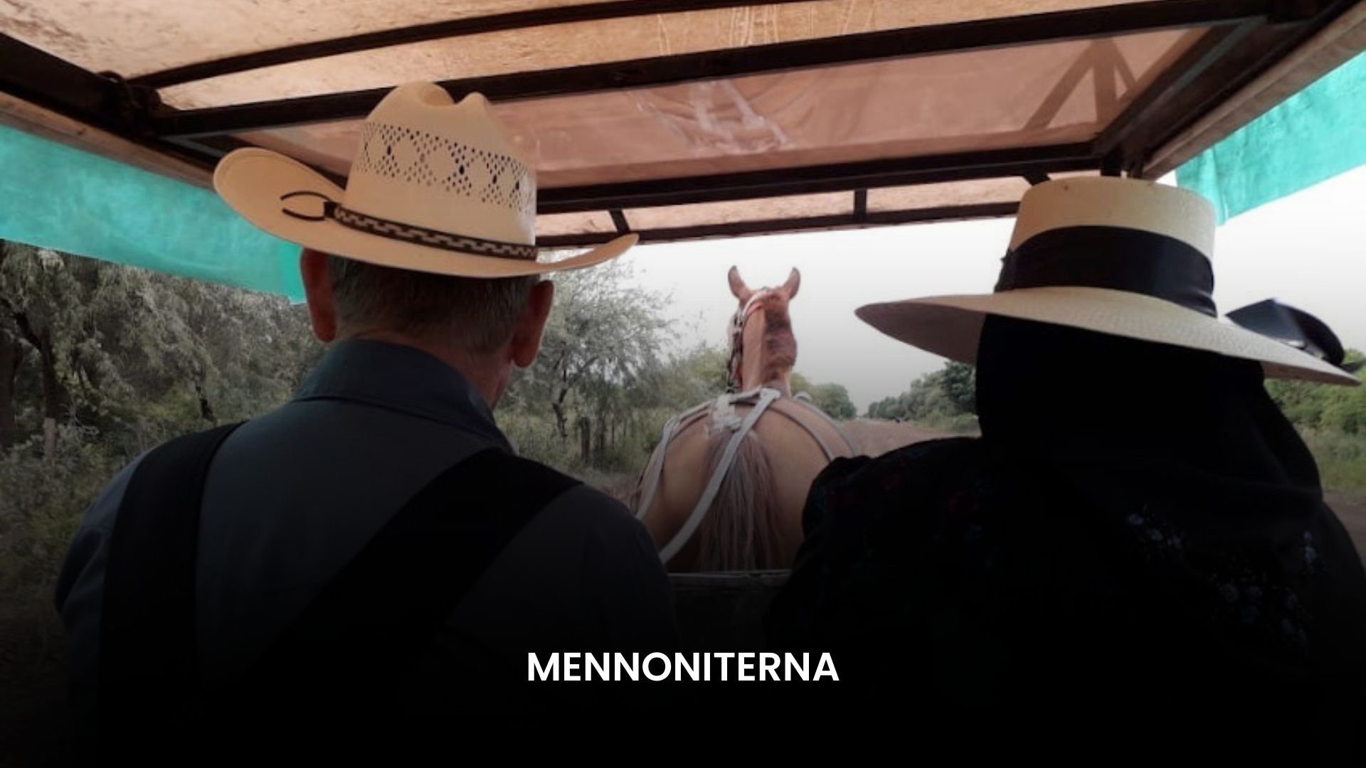 Mennoniterna