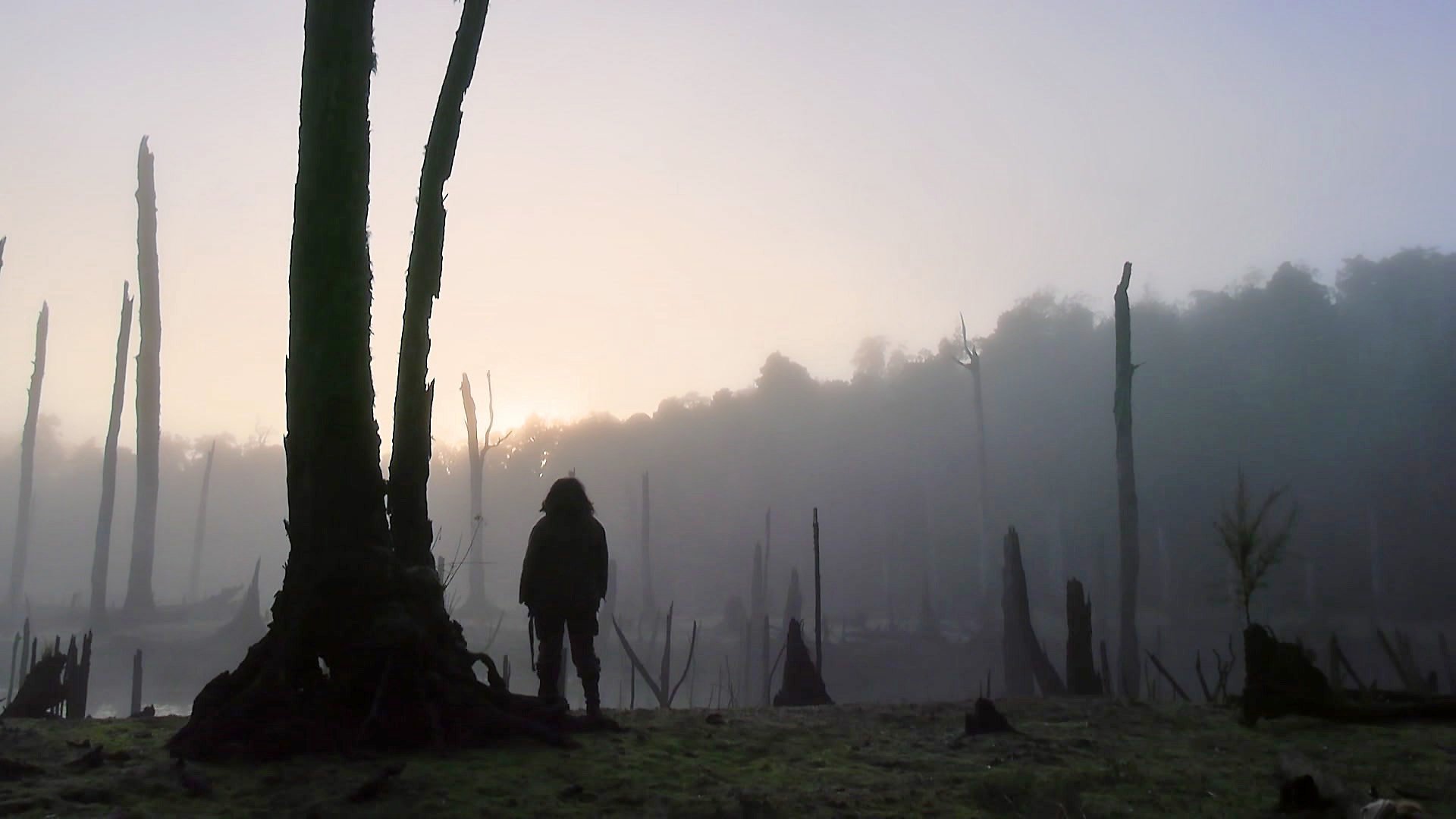 8. Isolerad