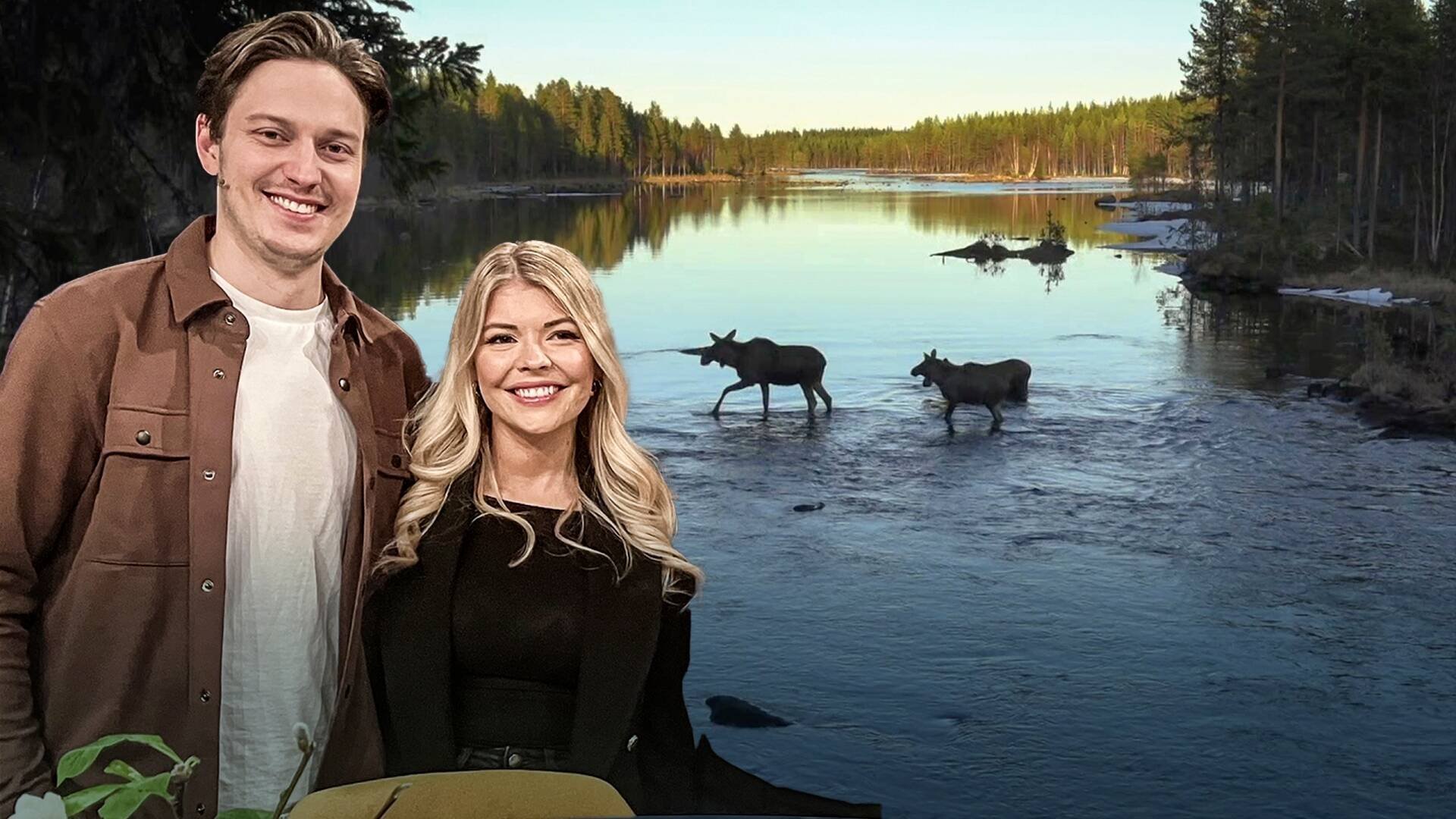 Titta på Älgvandringen med Hansius och Kitti