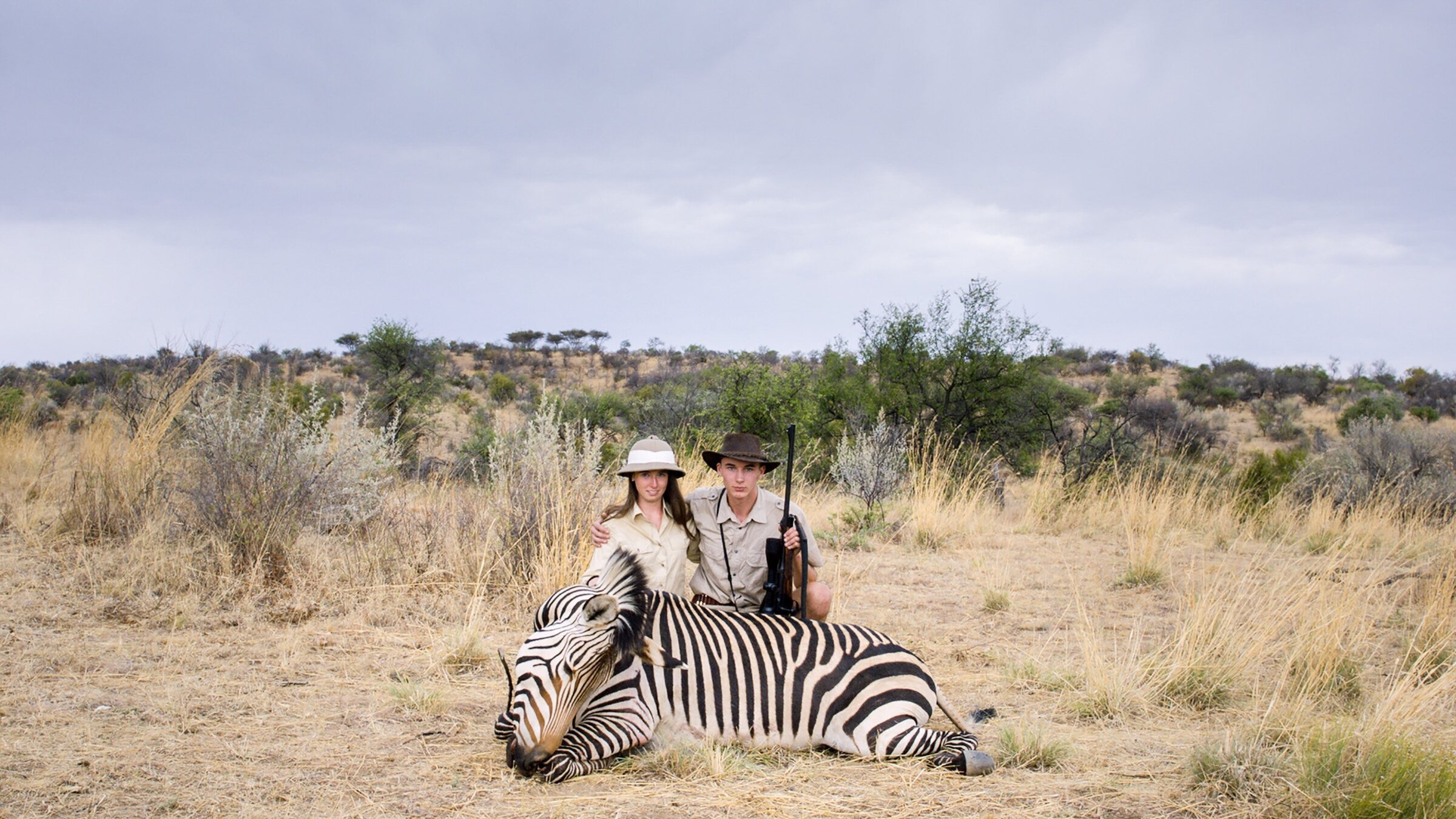 Safari