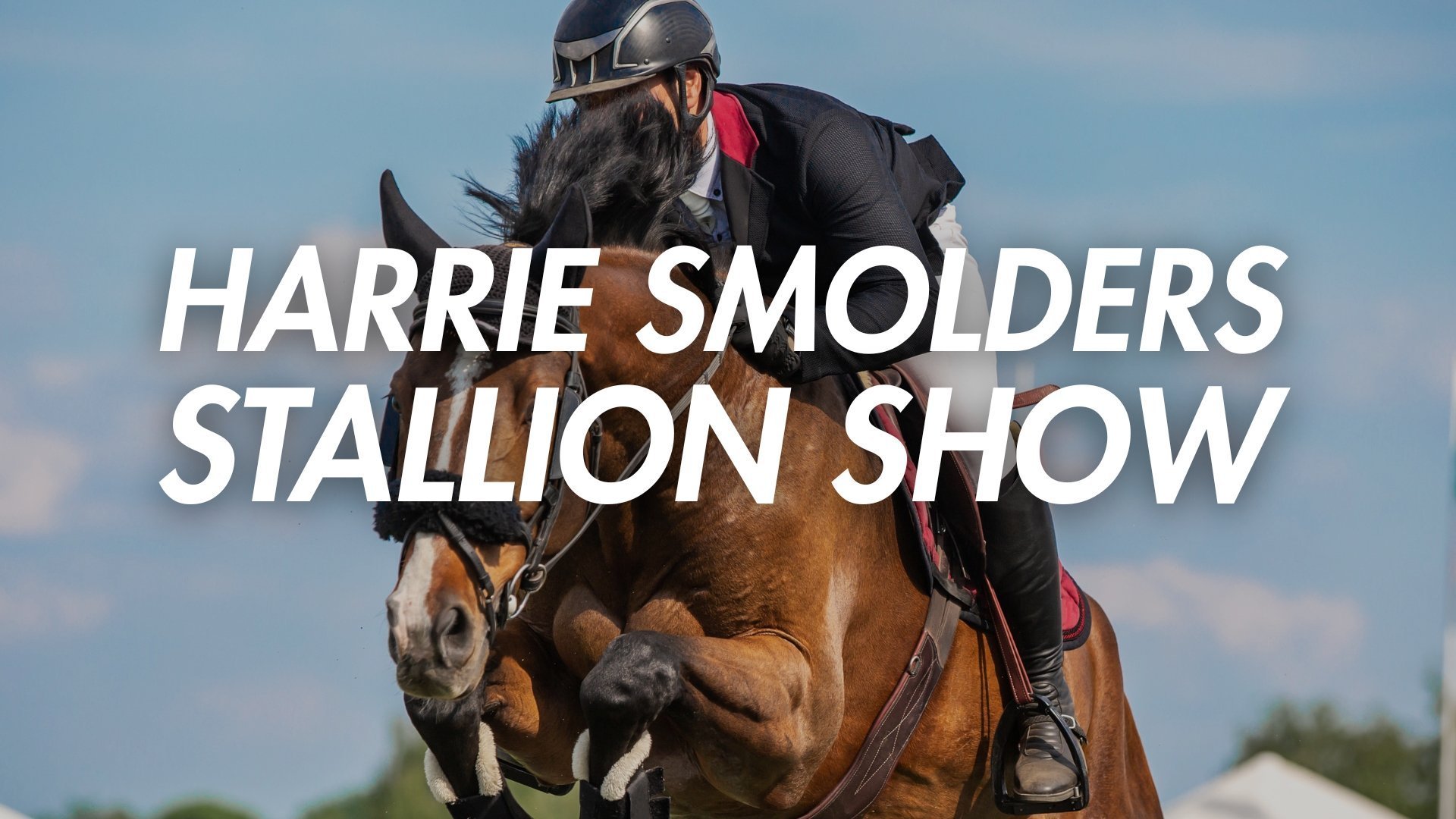 Harrie Smolders Stallion Show