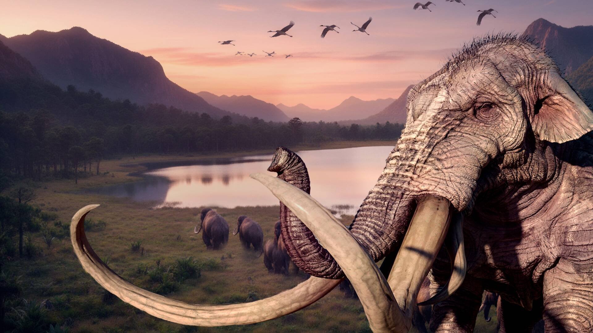 Vetenskapens värld: Livet före istiden