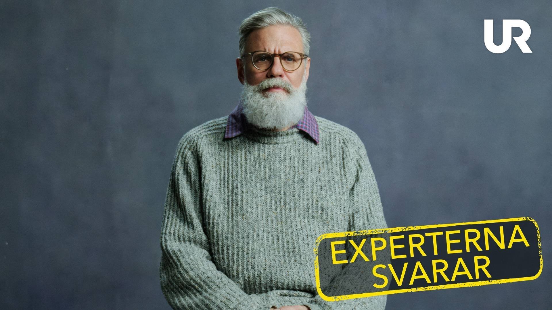 1. Vad är våldsbejakande extremism?