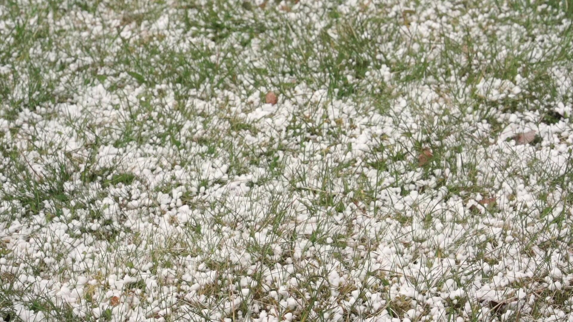 42. Hagel