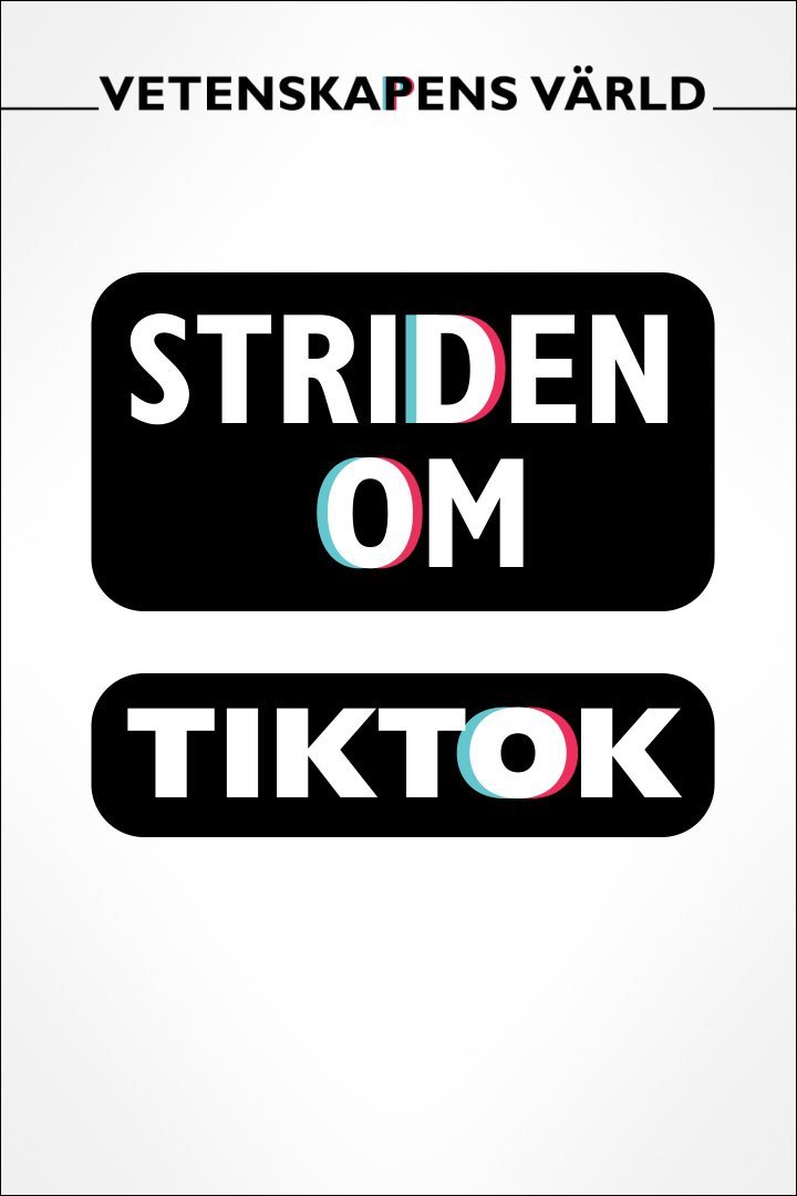 Striden om Tiktok