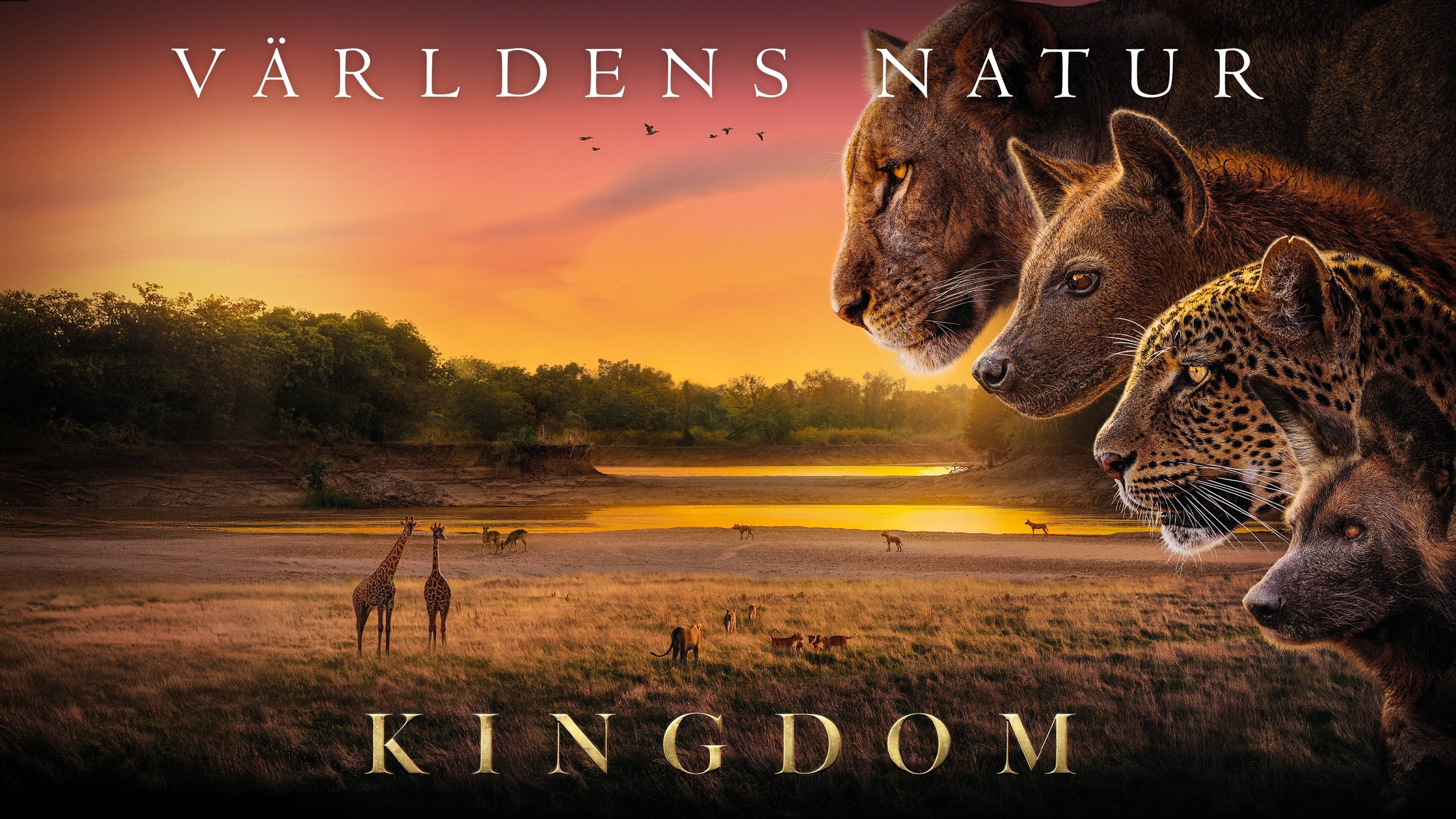 Världens natur: Kingdom