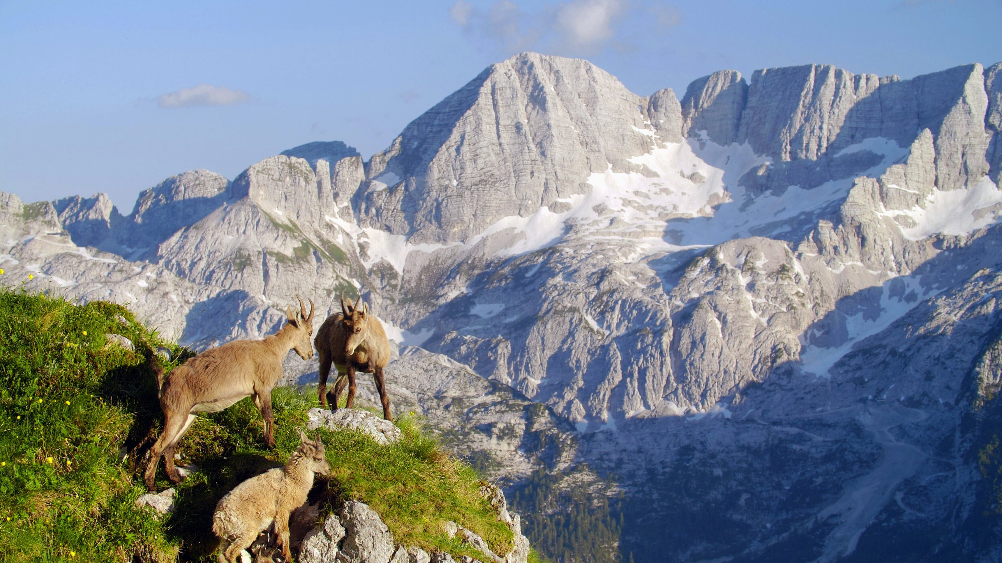 Slovenien: Allt handlar om naturen