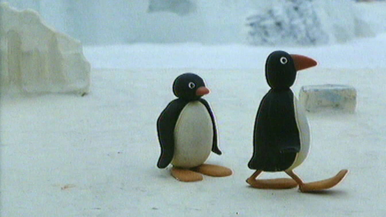 2. Pingu ruvar