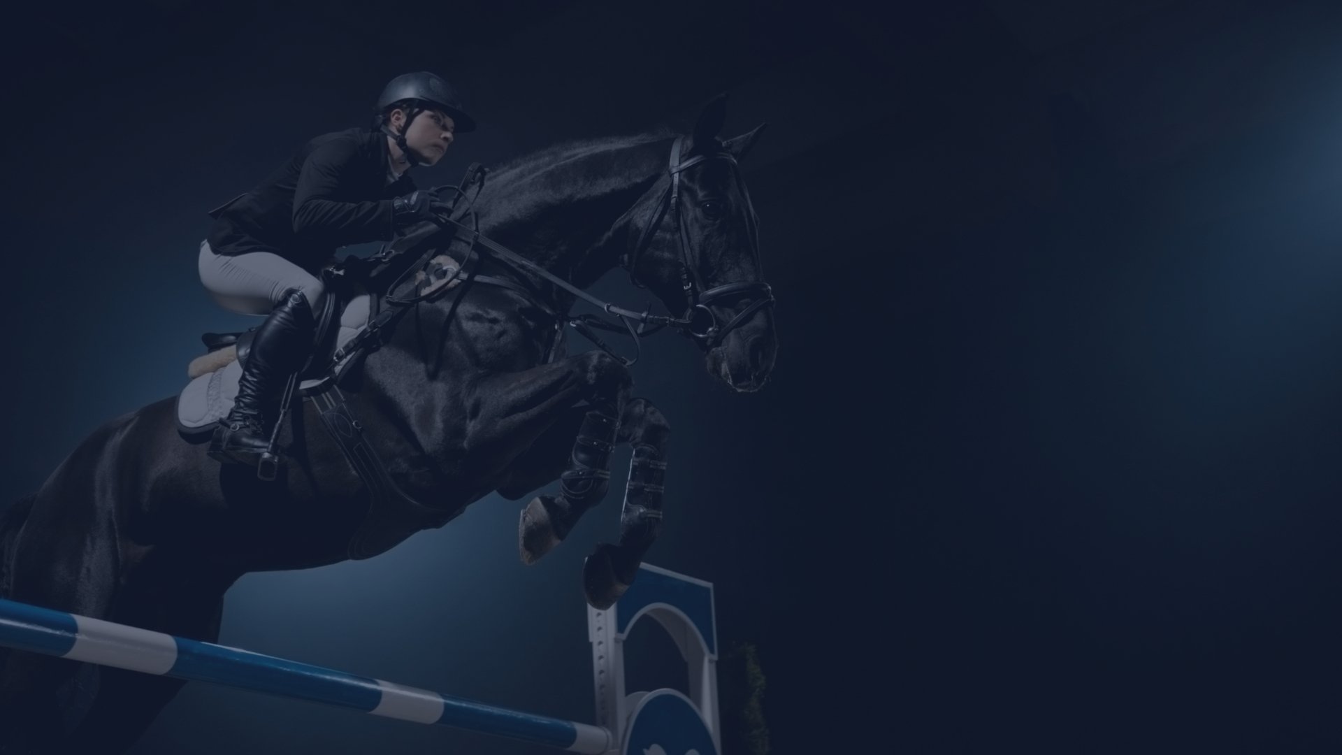 Al Shira'aa International Horse Show 2025