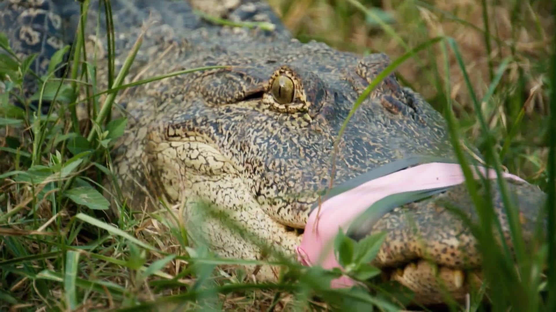 6. An Egg-citing Day!