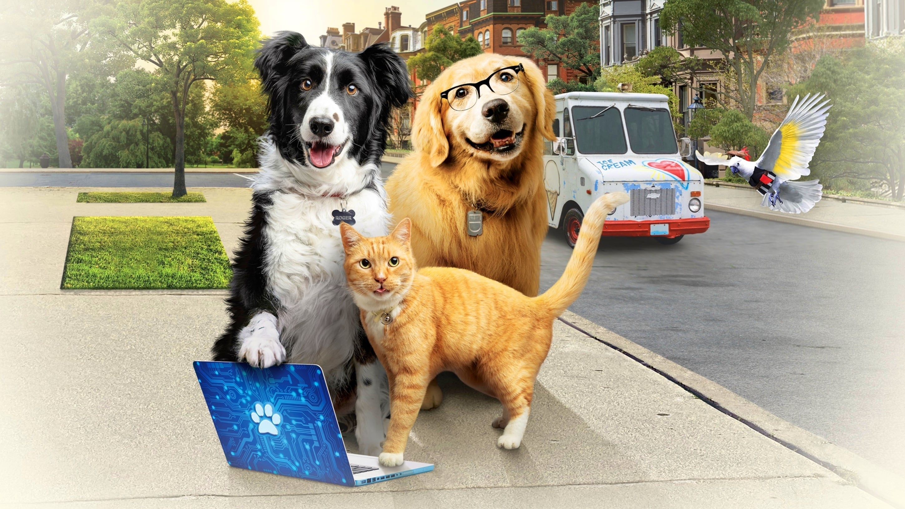 Som hund och katt 3: Nu tassar vi igen