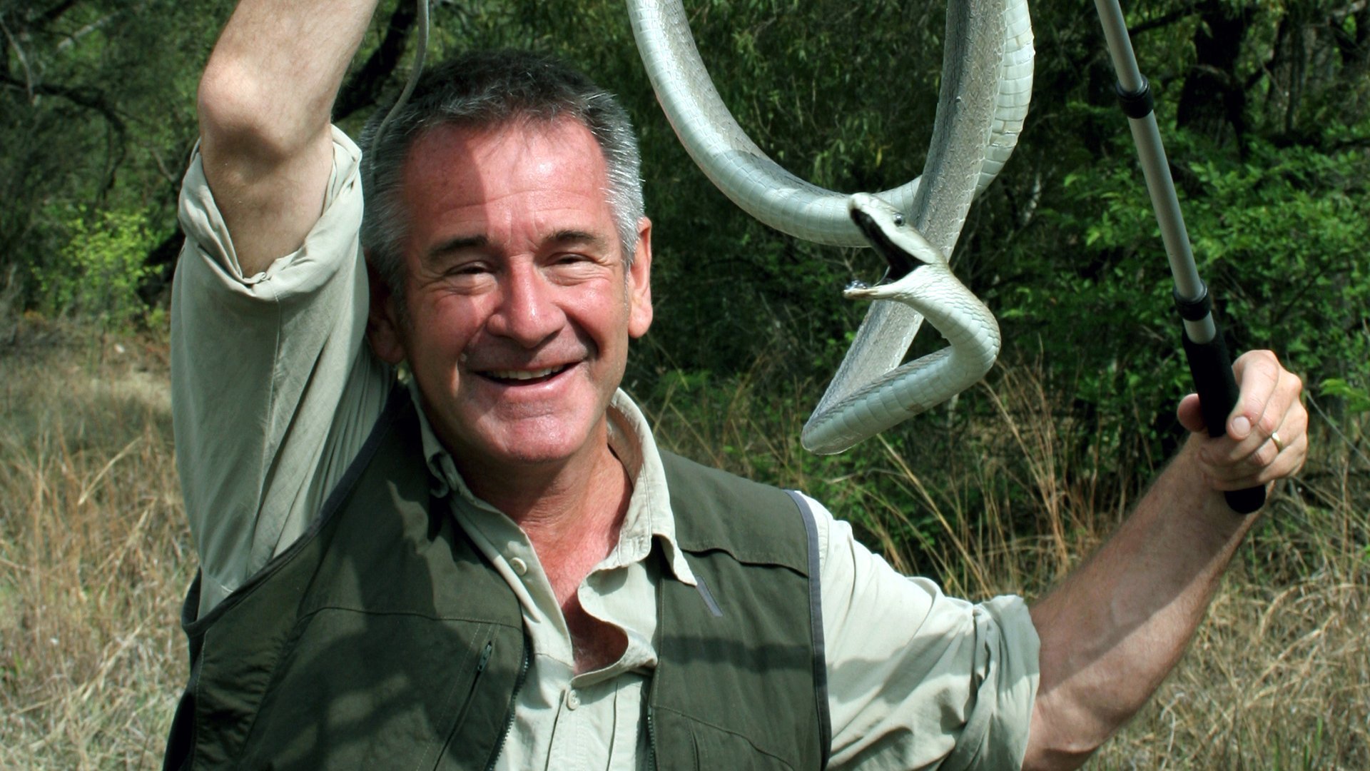 De tio farligaste ormarna