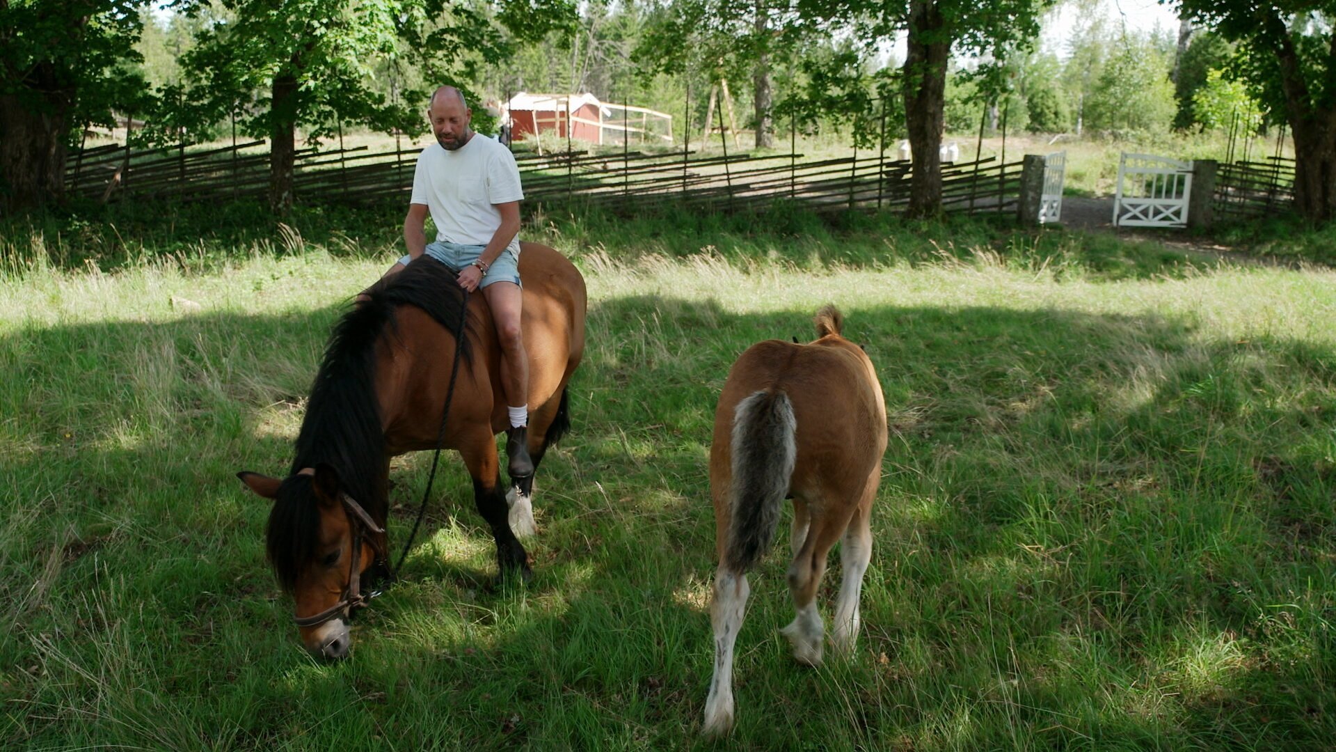 27. Fnurror på tråden