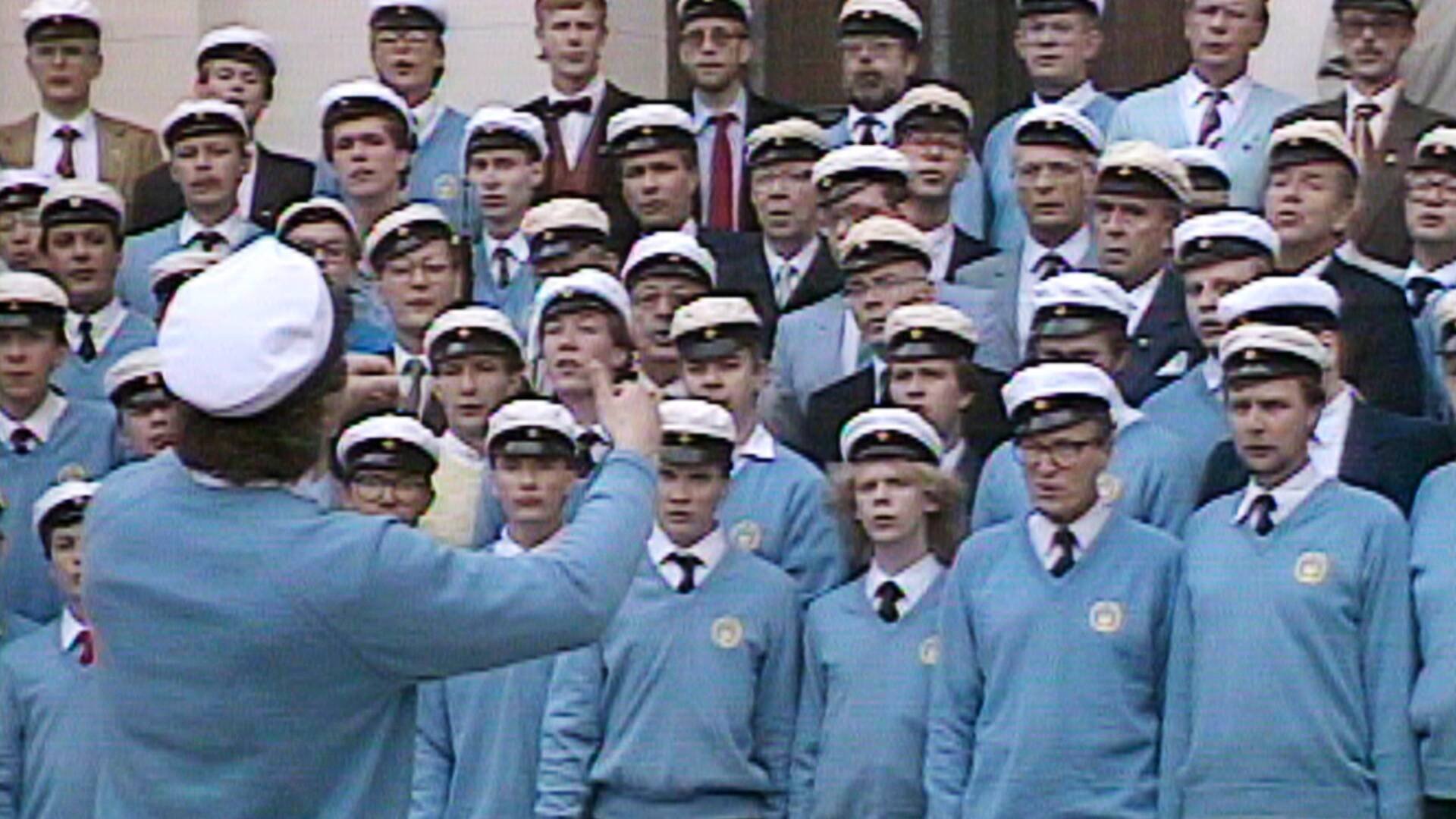 ... i den härliga vårsolens glans