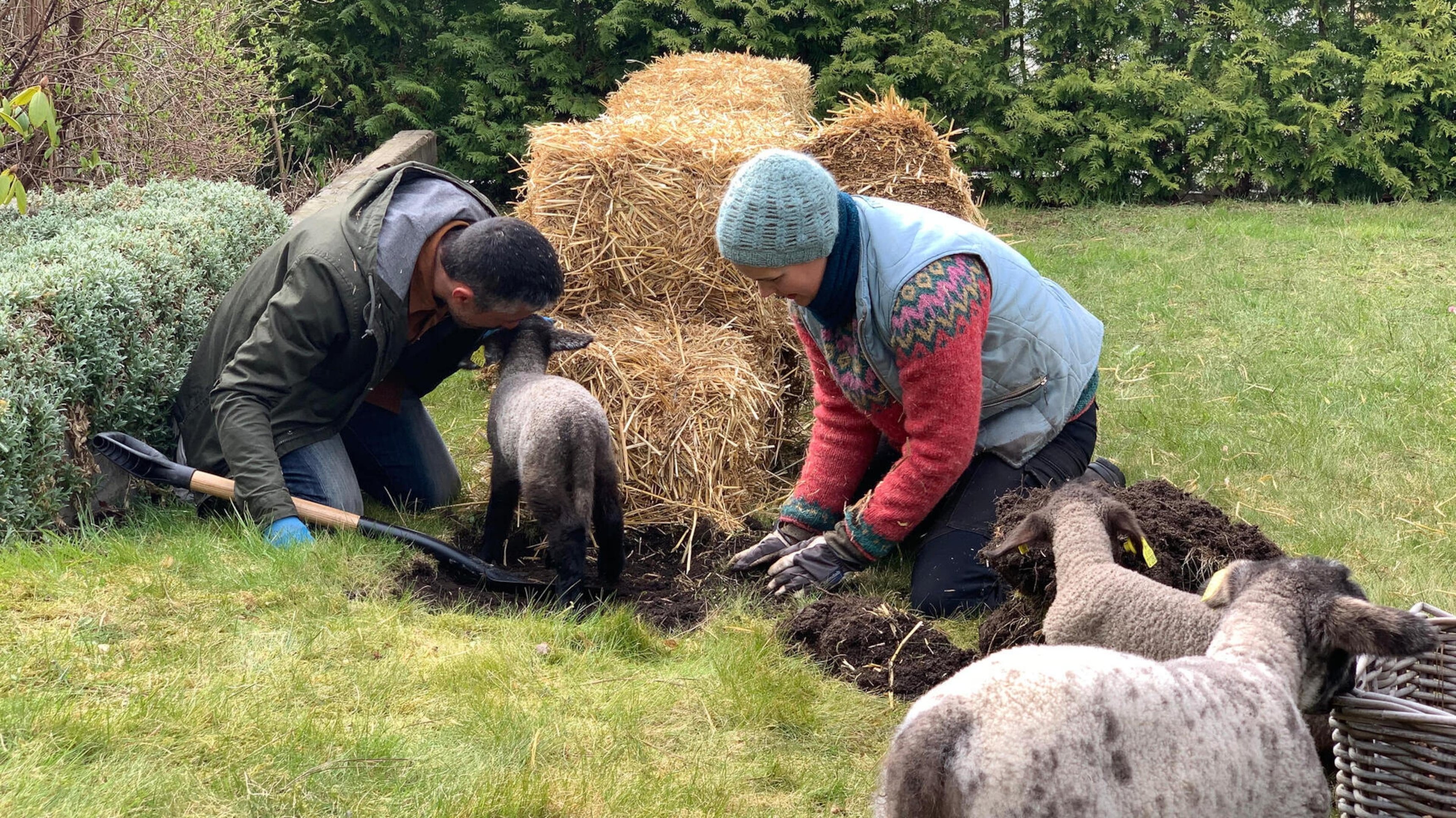 En bondgård mitt i stan