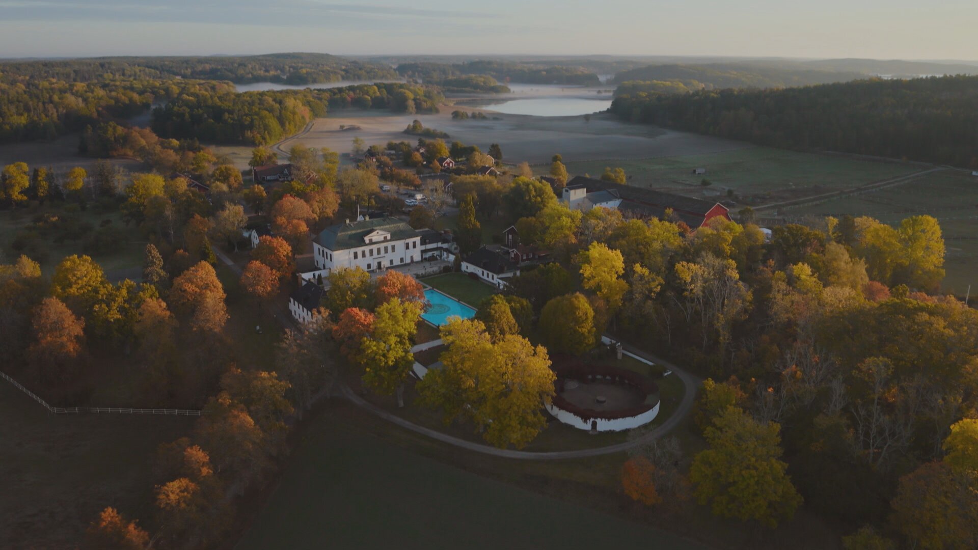 5. I falska vänners lag