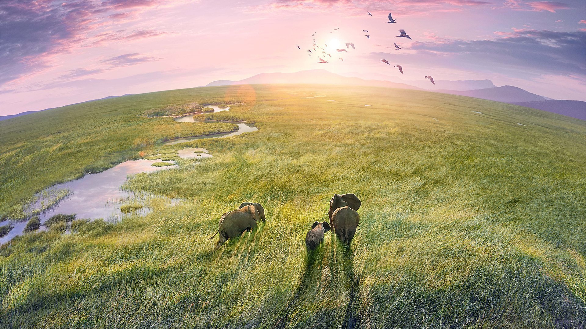 Planet Earth III: Making Of