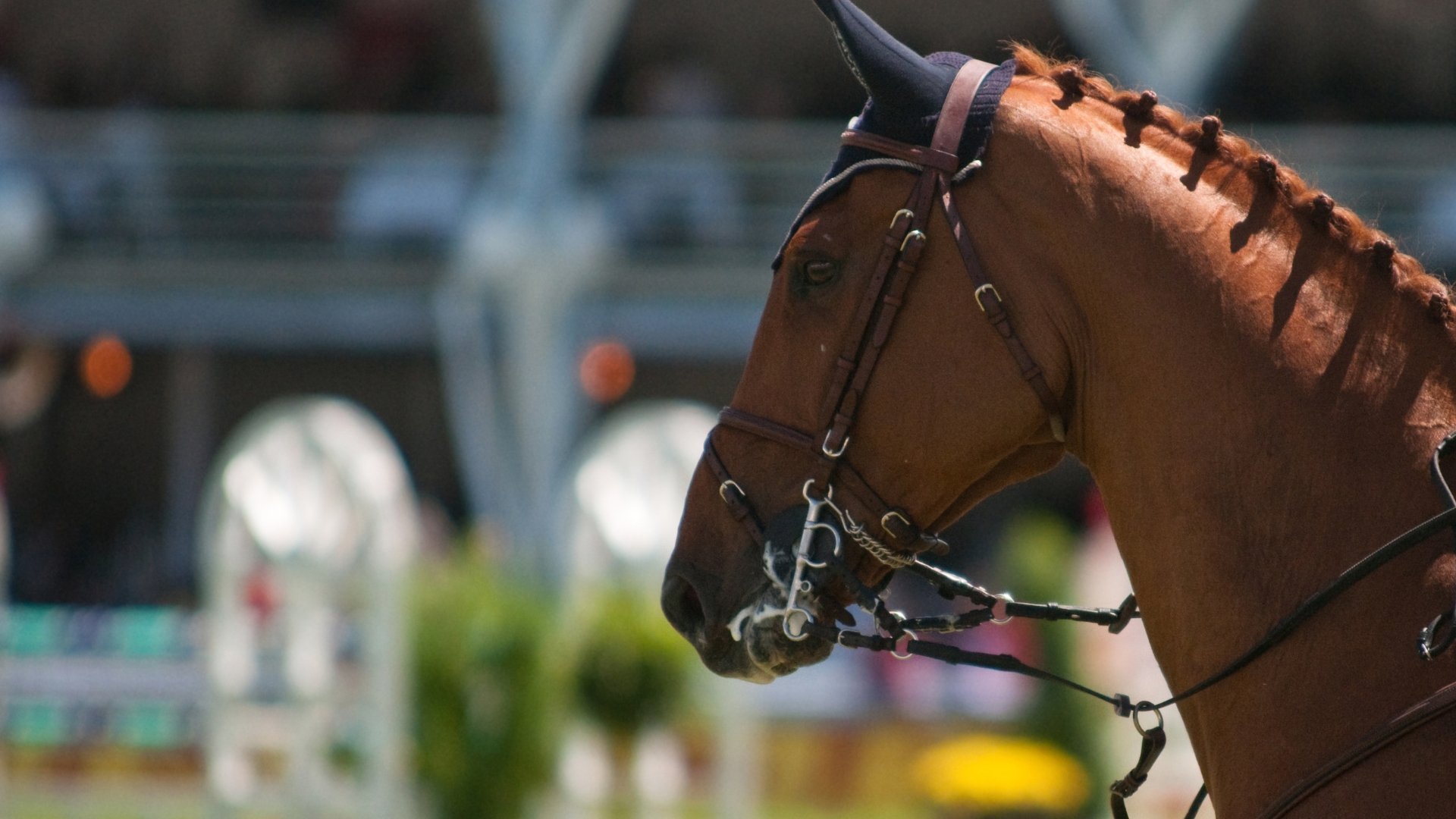 Ridsport : Royal Windsor Horse Show