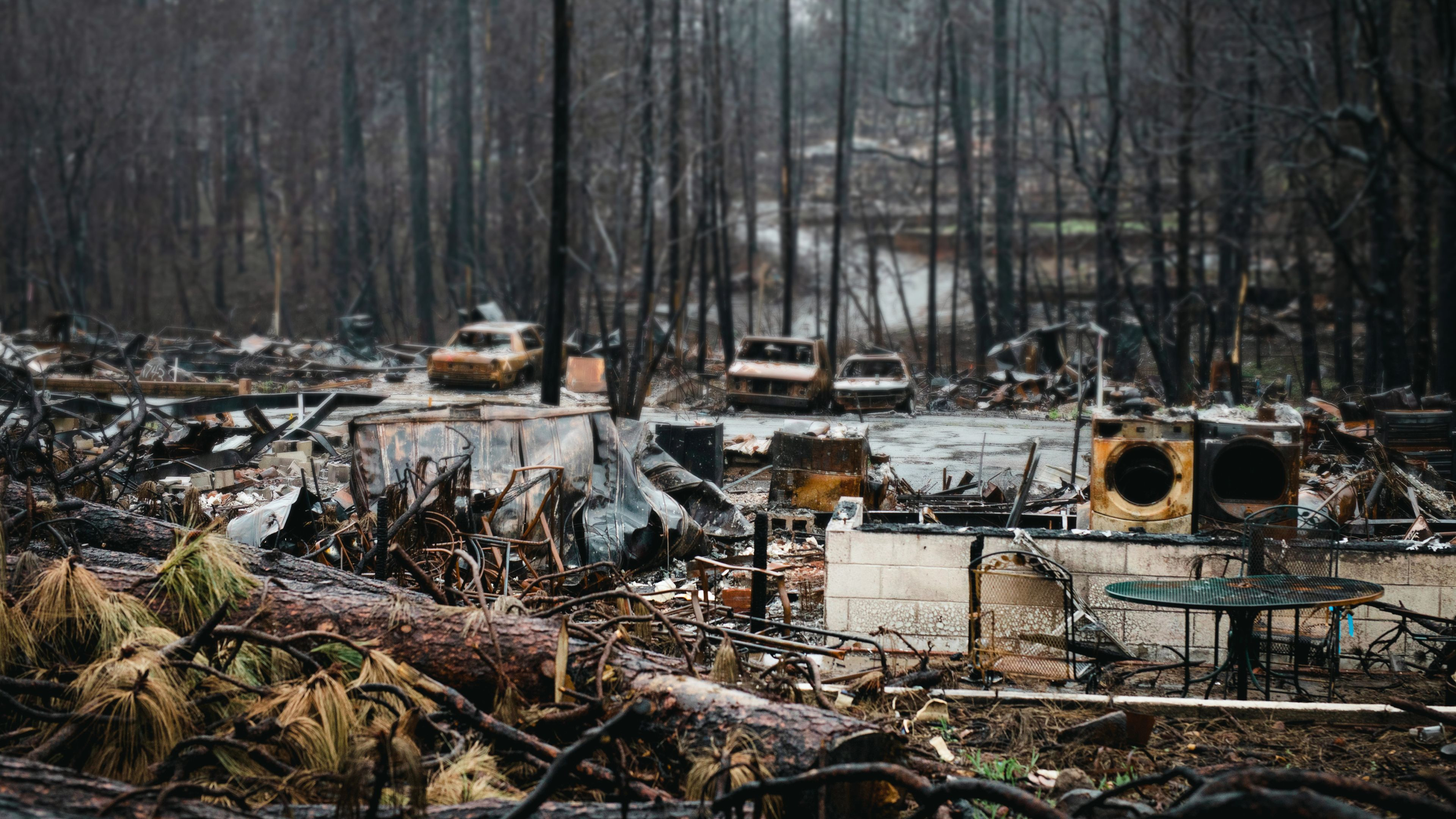 Rebuilding Paradise