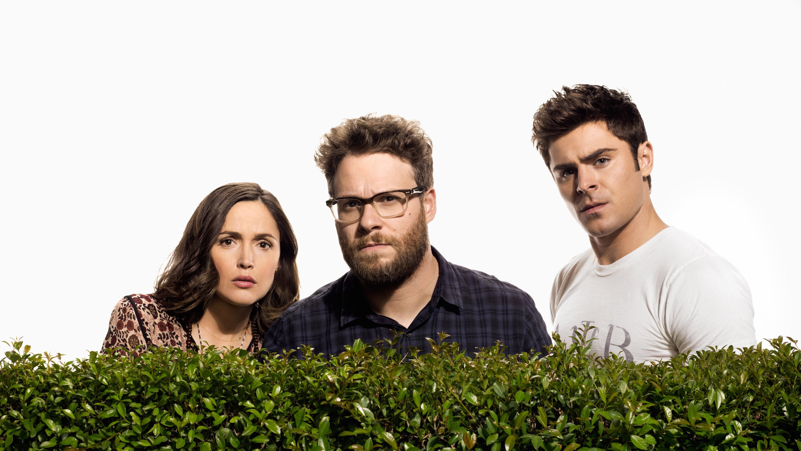 Bad Neighbours 2