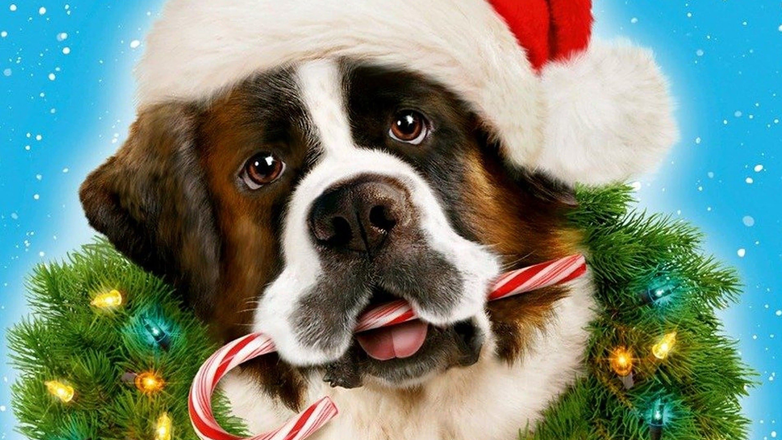 Beethovens juläventyr