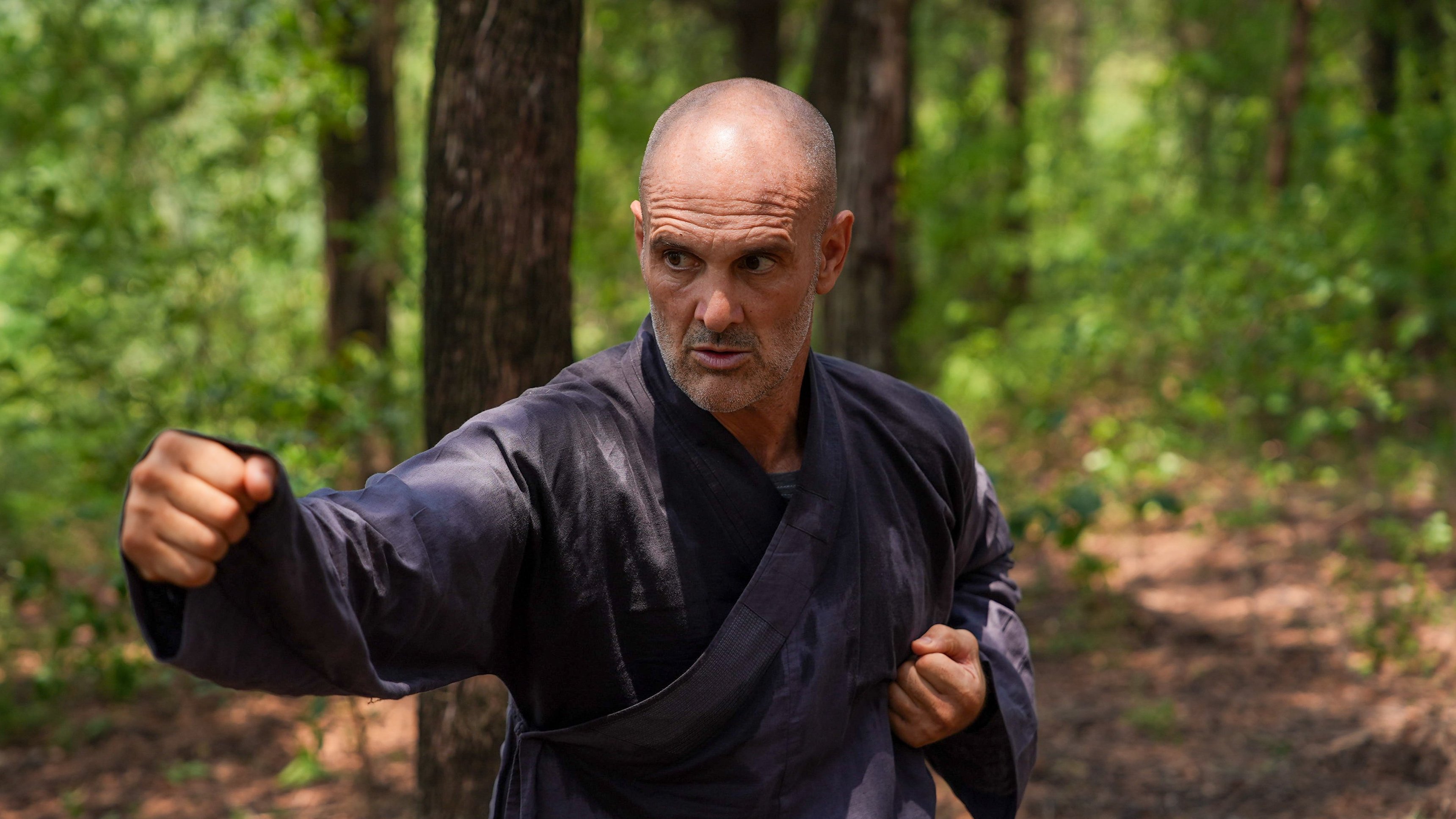 6. Shaolin