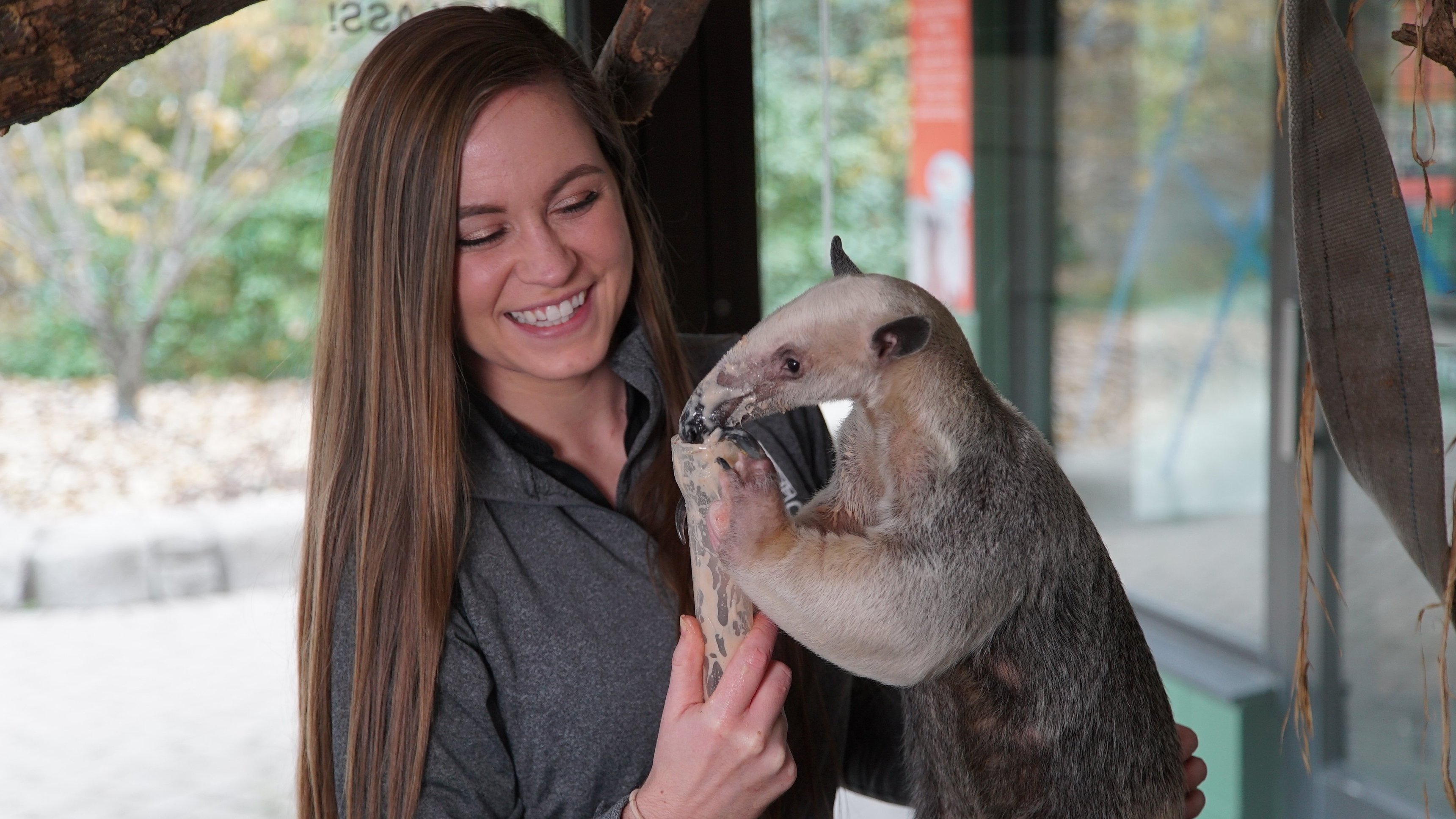 13. Whale Songs And Cool Canines