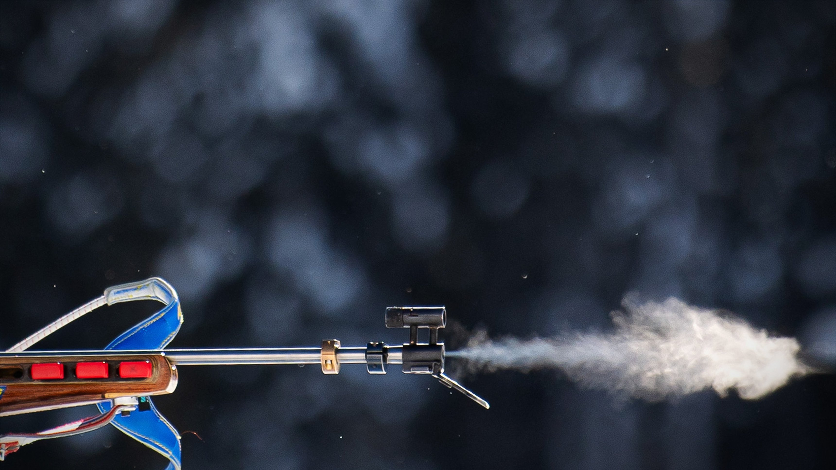 Skidskytte: Världscupen