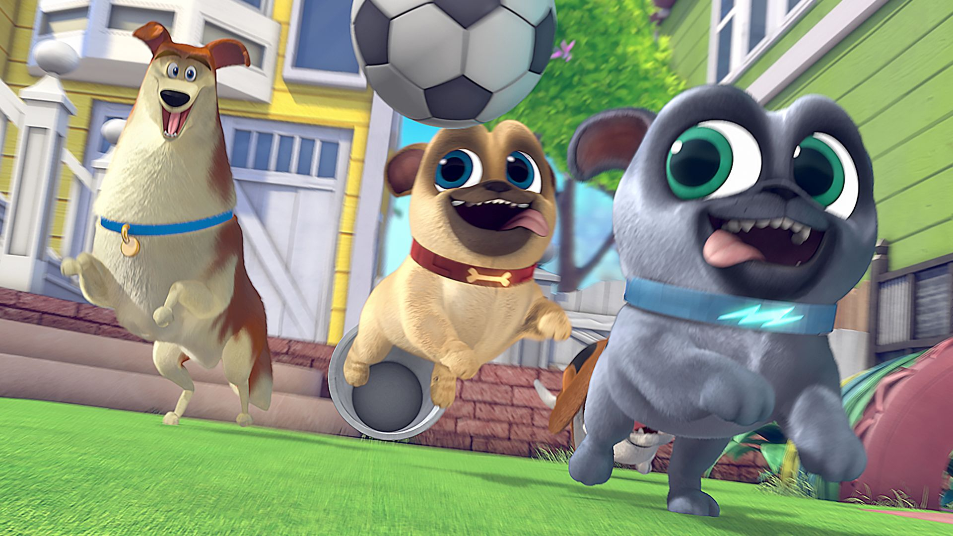 Playtime With Puppy Dog Pals