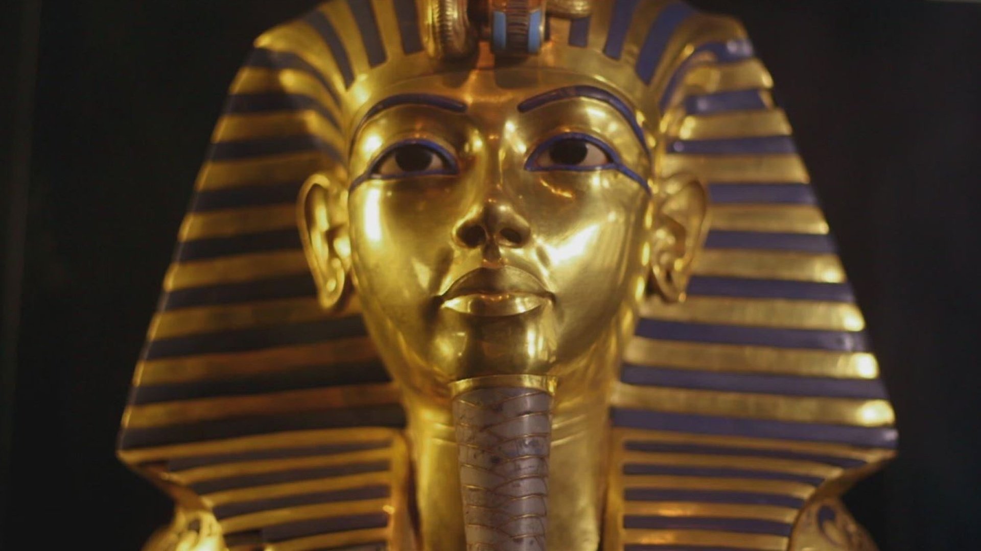 8. Who Killed King Tut?