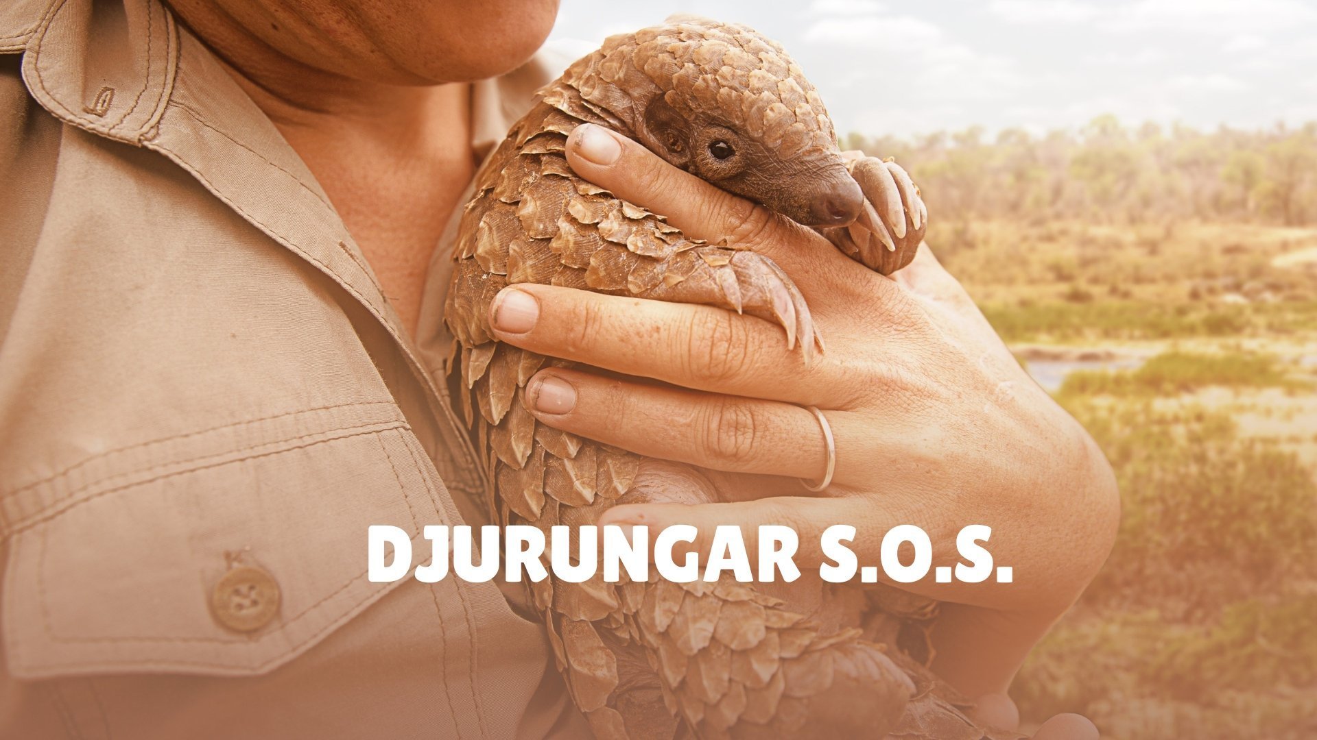 Djurungar S.O.S.