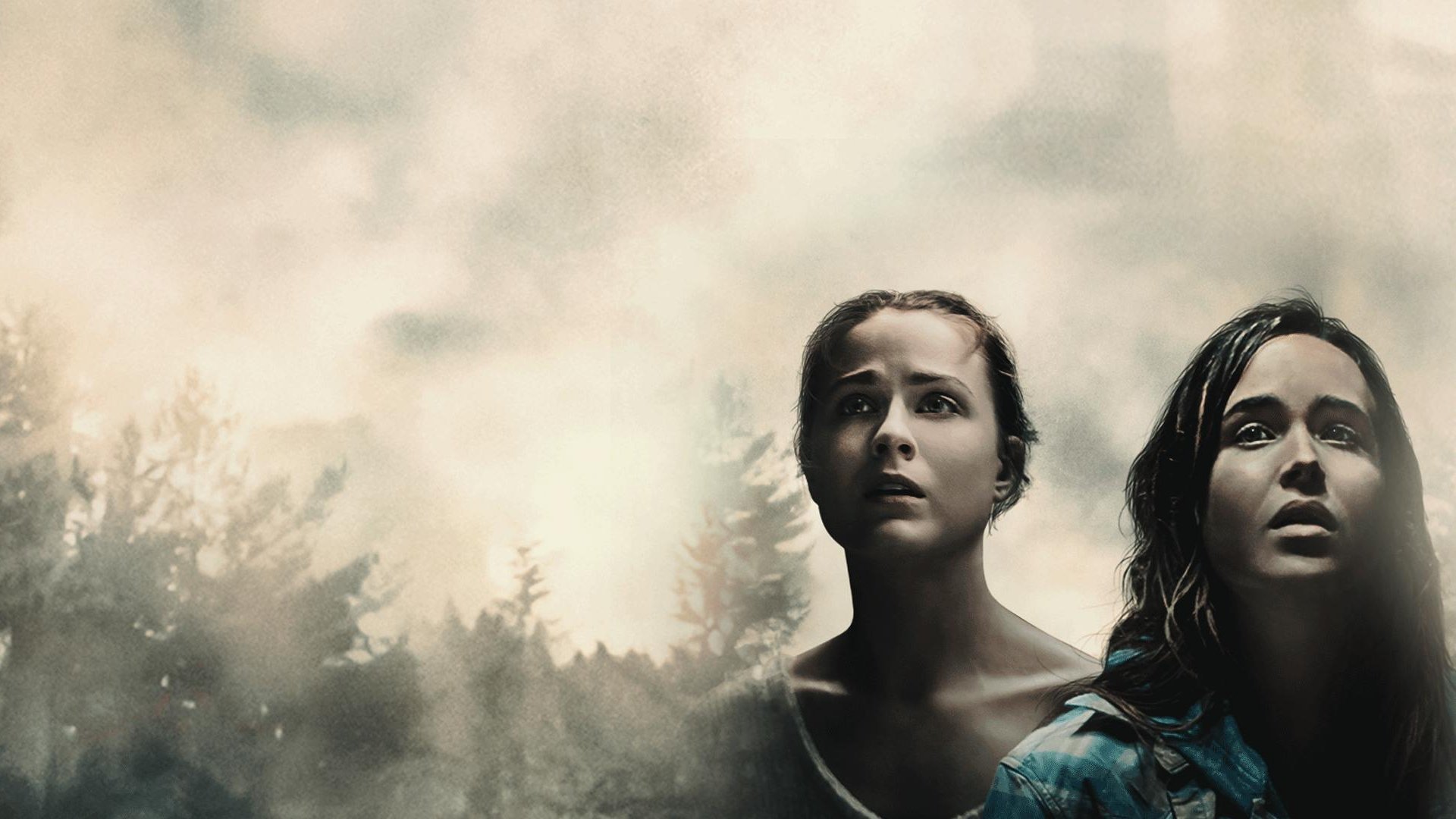 Into the Forest