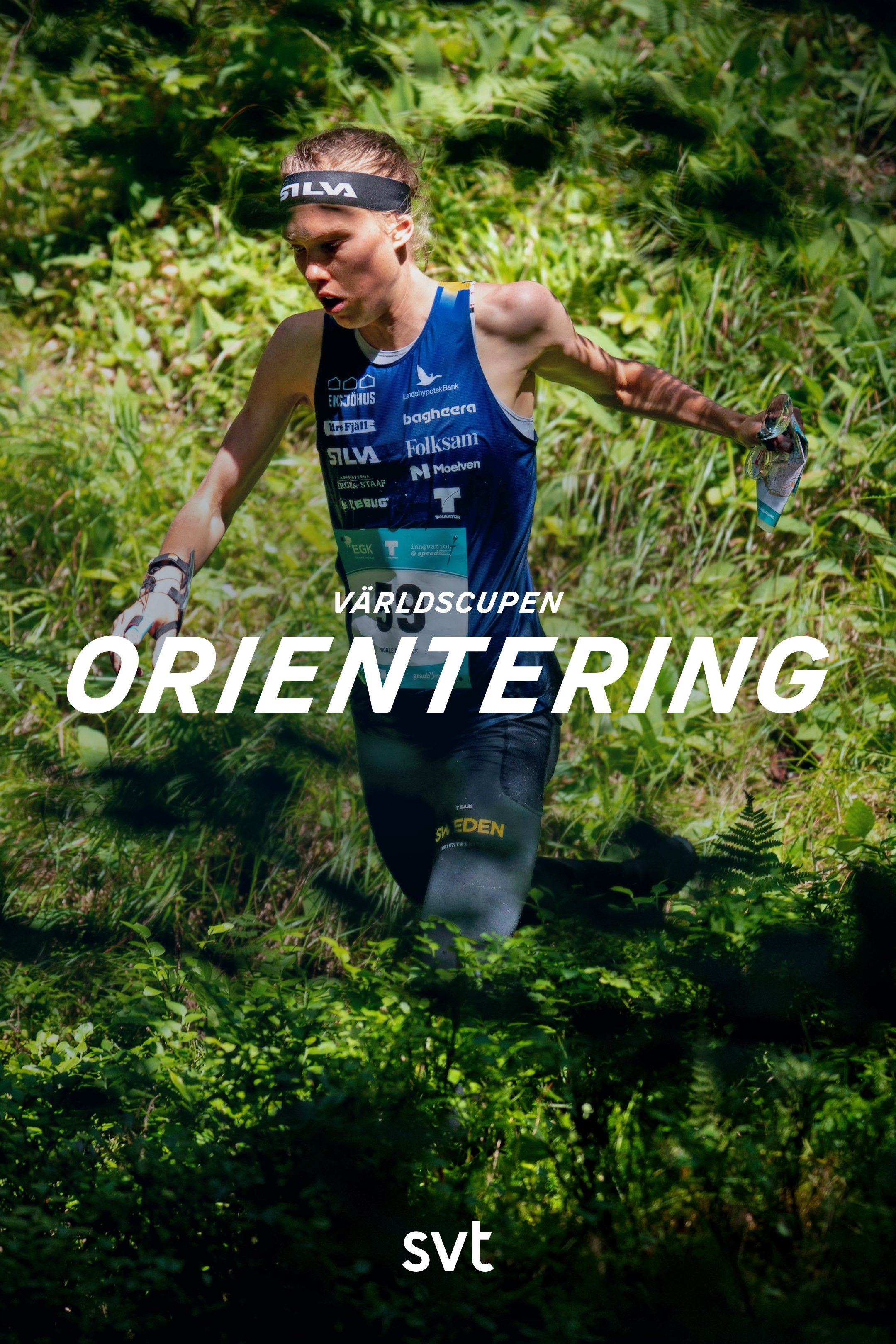 Orientering: Världscupen