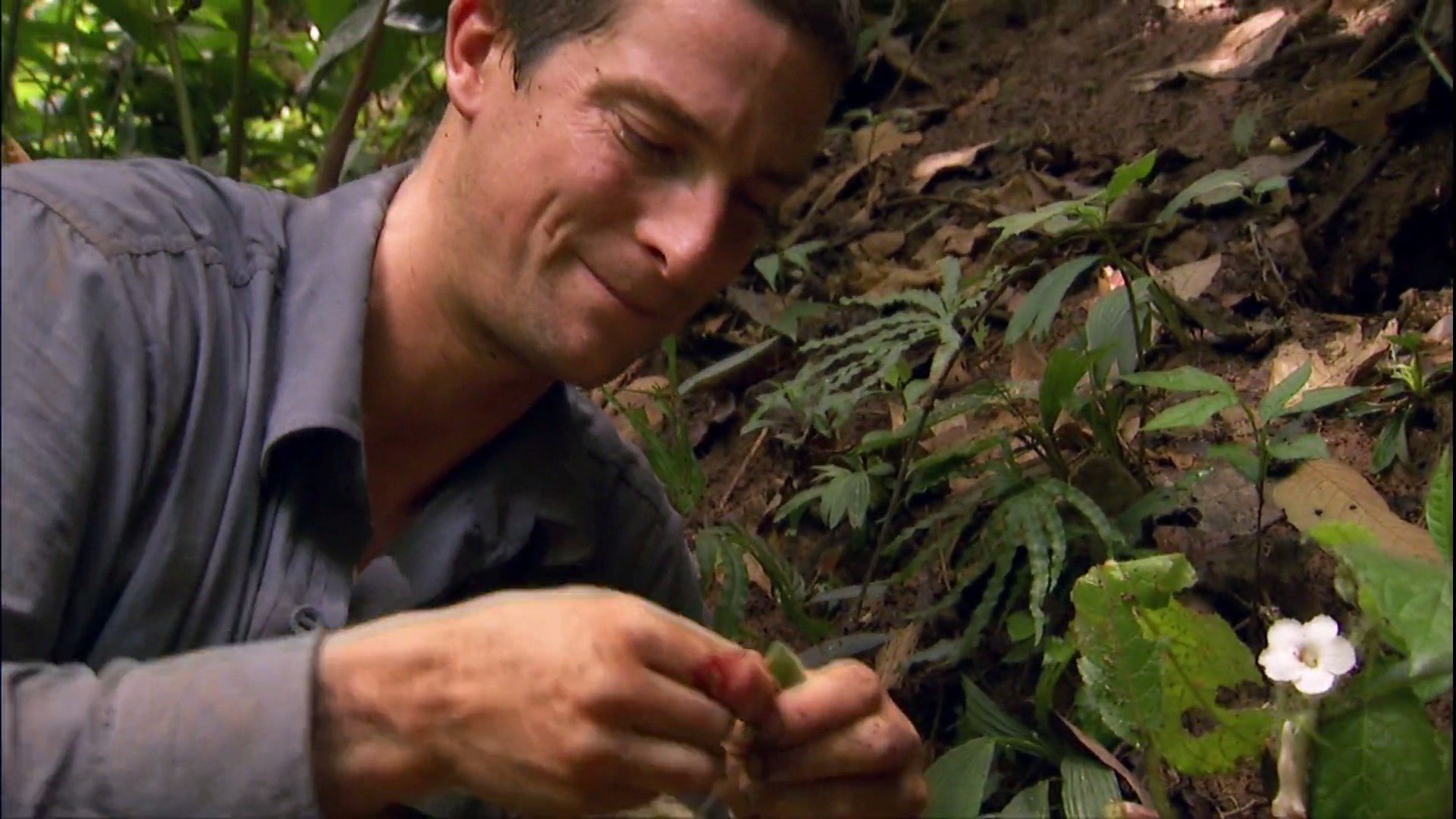 4. Jungle